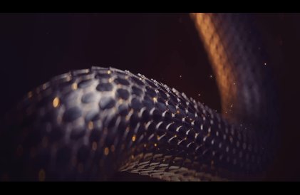 Dévoilement du film (en anglais)