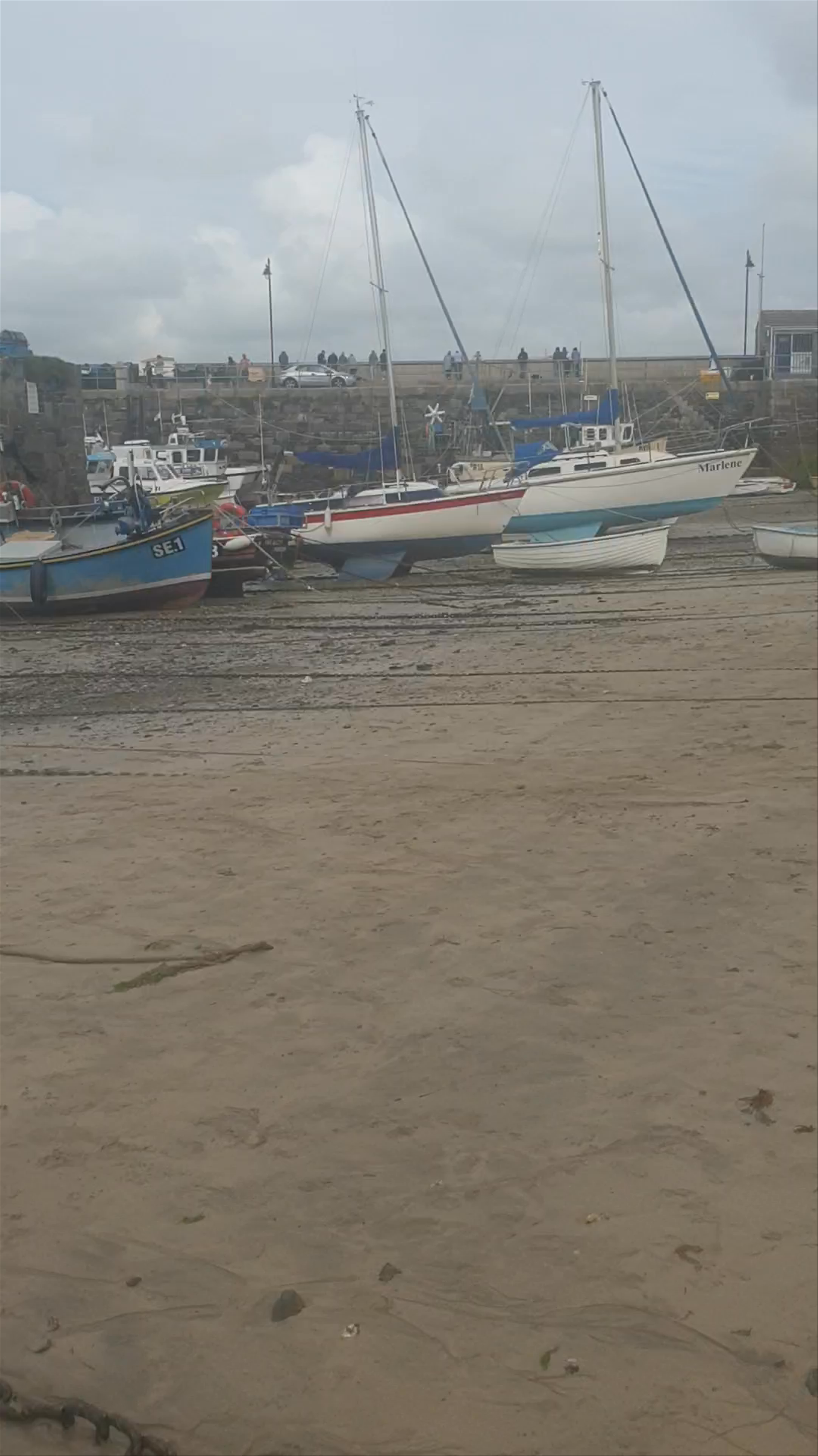 Newquay Harbour