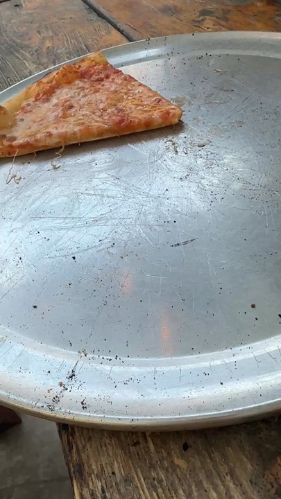 V Pizza + Tap Garden - Pizza Near Me - Jacksonville, Florida