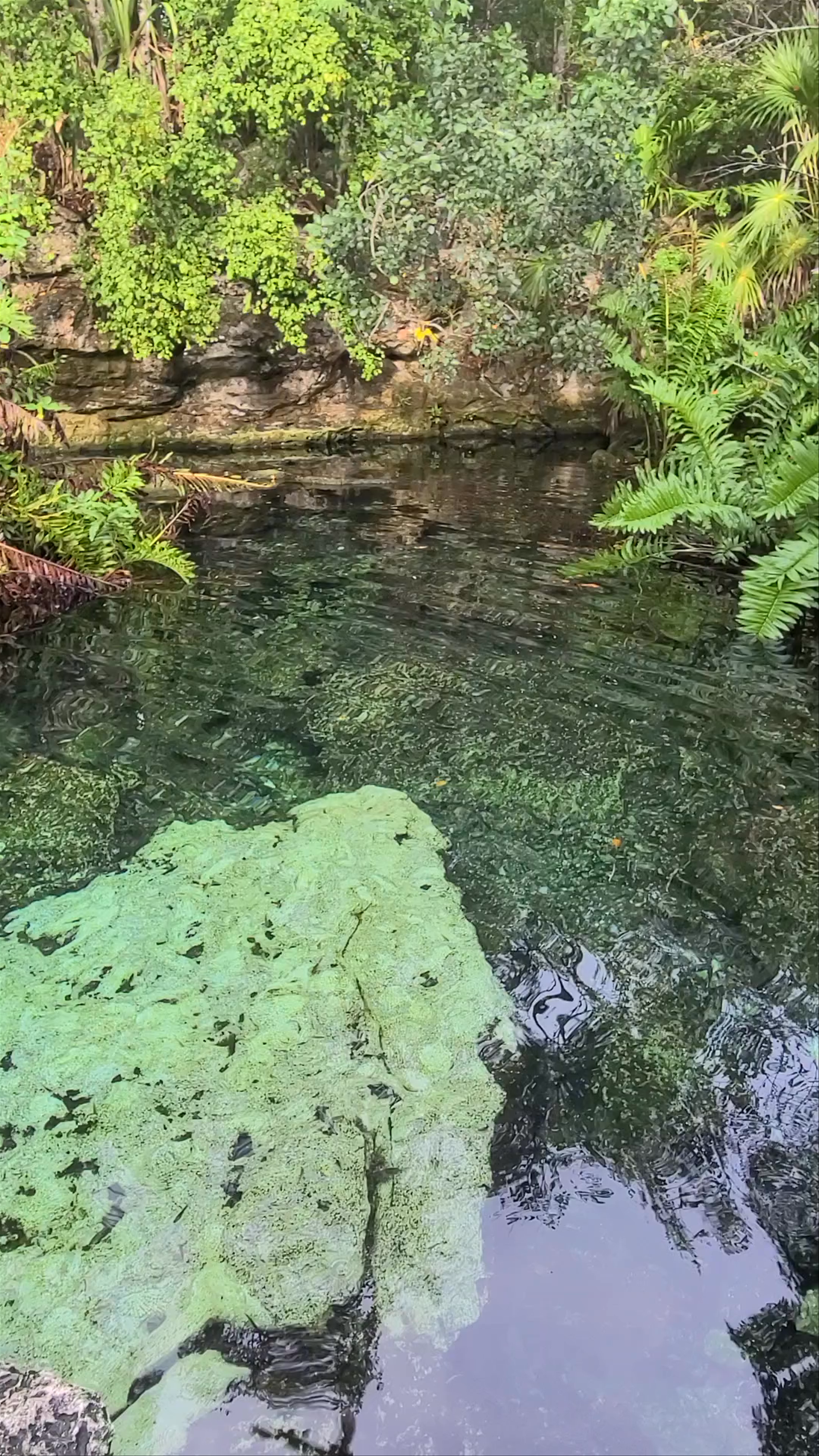 Cenote Azul