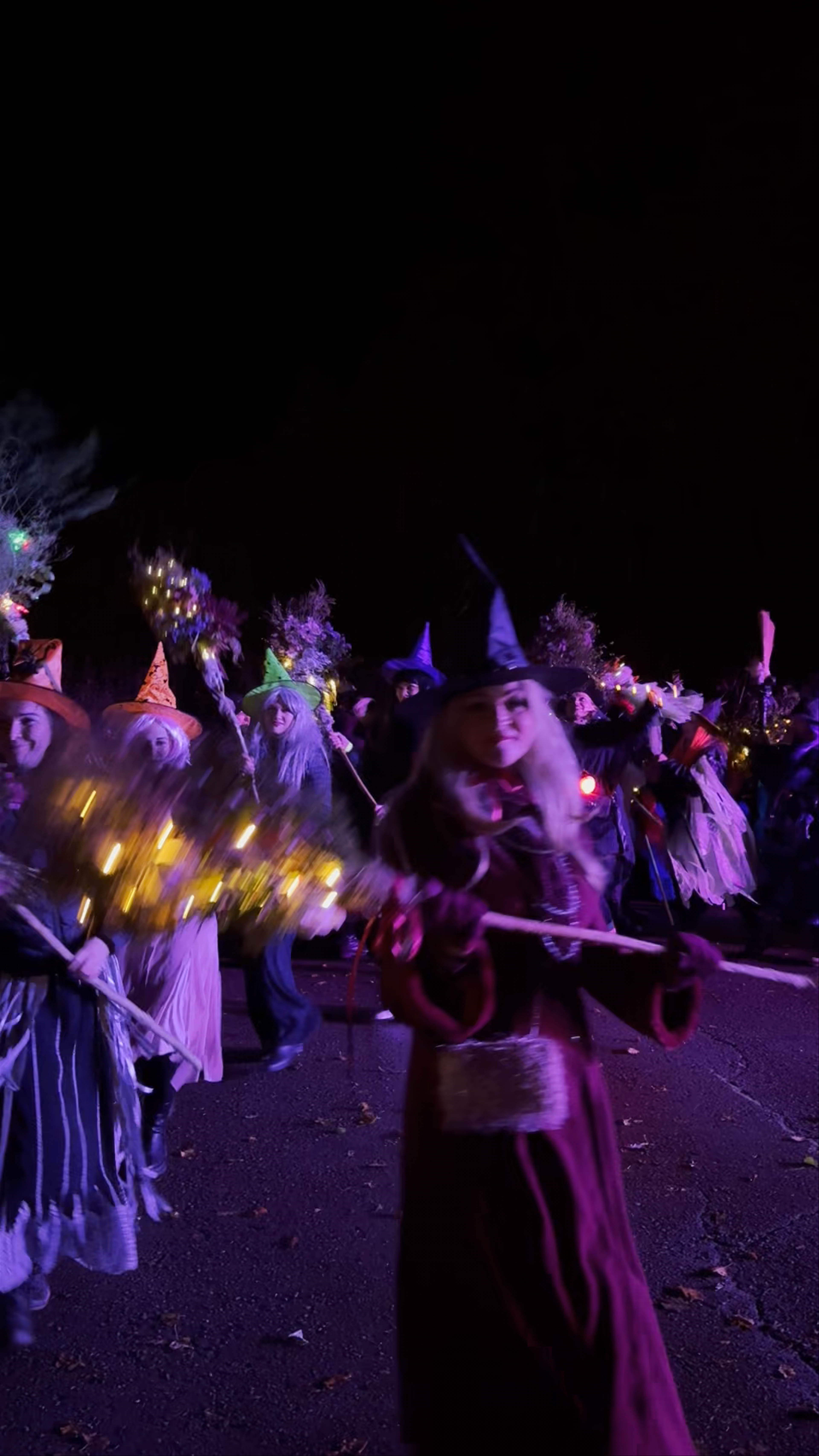 Enchanted Night Parade at Kalsnavas Arboretum, Latvia
