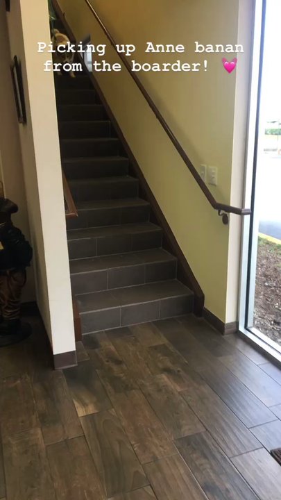 VIPet Resort - Picking up Annie - Pet Boarding Near Me - Orlando, Florida