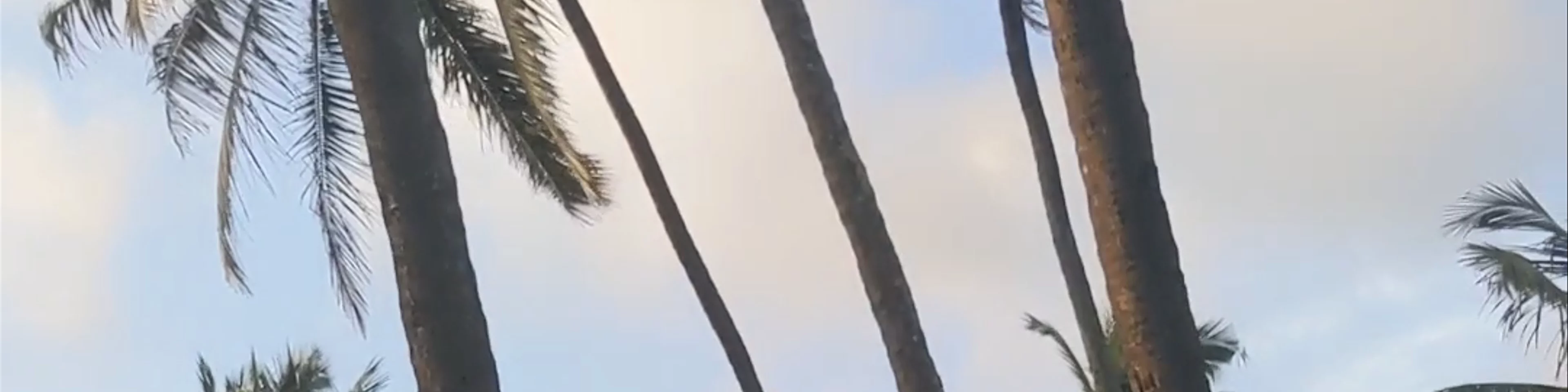 sea breeze