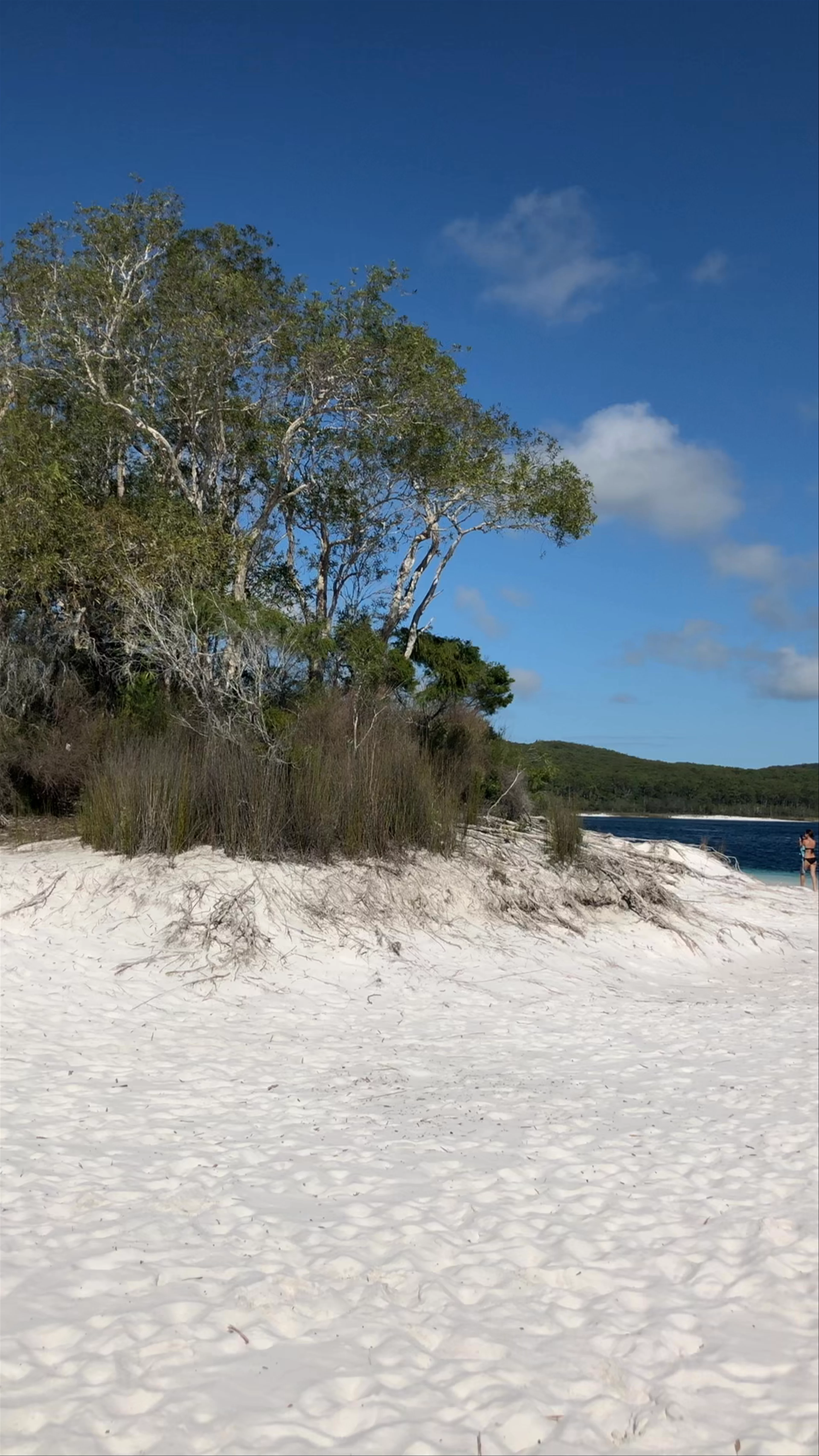 Lake Mackenzie, Fraser Island (K'gari)