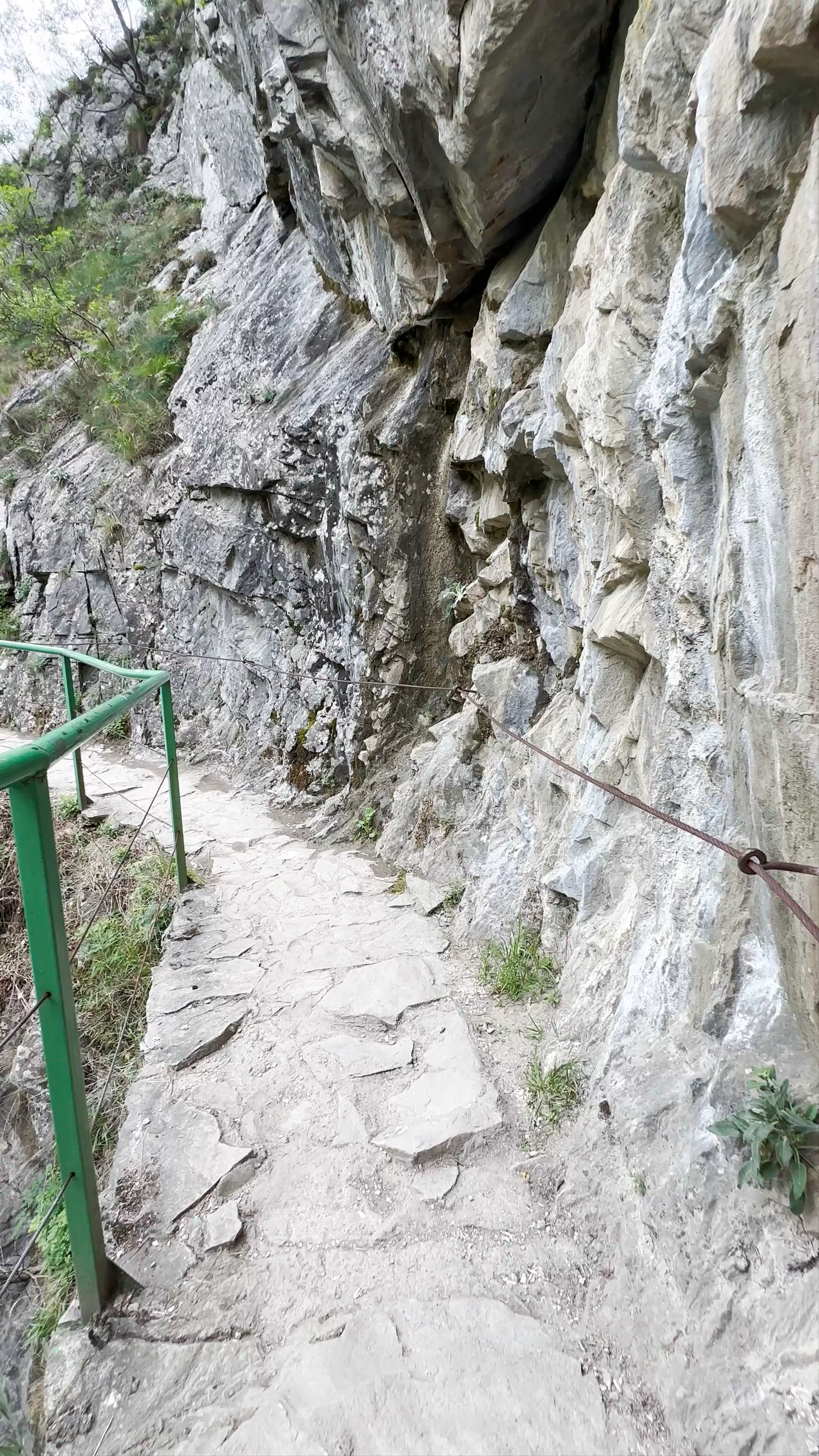 Canyon Matka Hotel & Restaurant