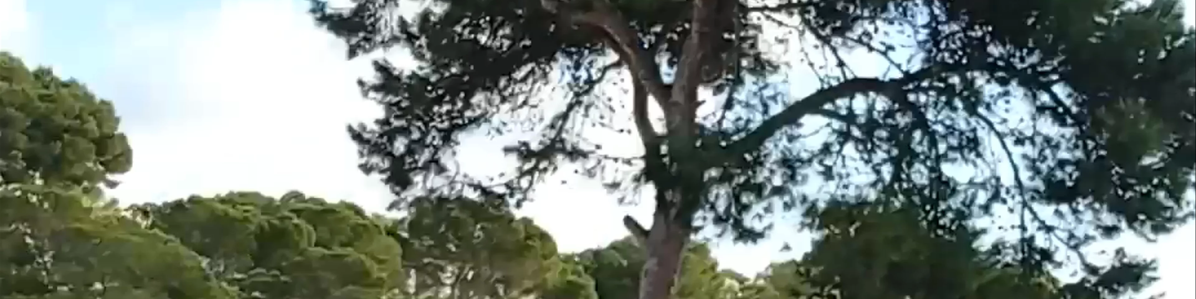 Cala Esmeralda