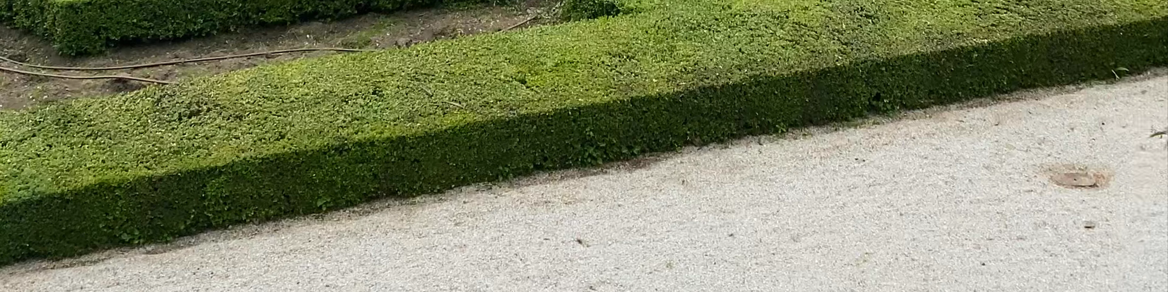 Jardins Du Palais - Albi
