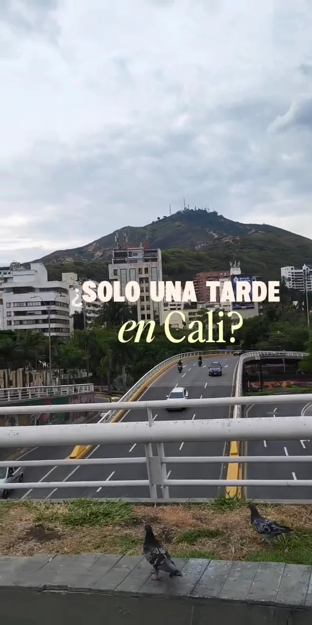 Contenido del creador