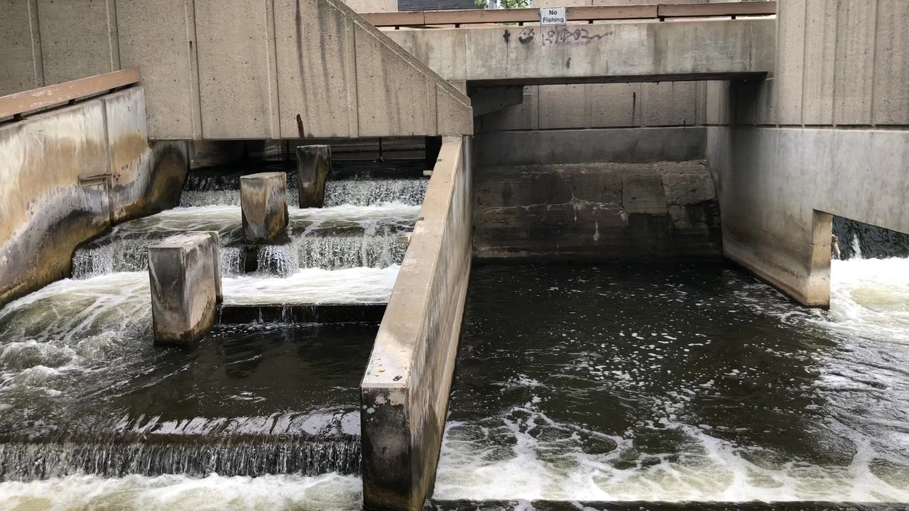 Fish Ladder Park - Parks Near Me - Grand Rapids, Michigan