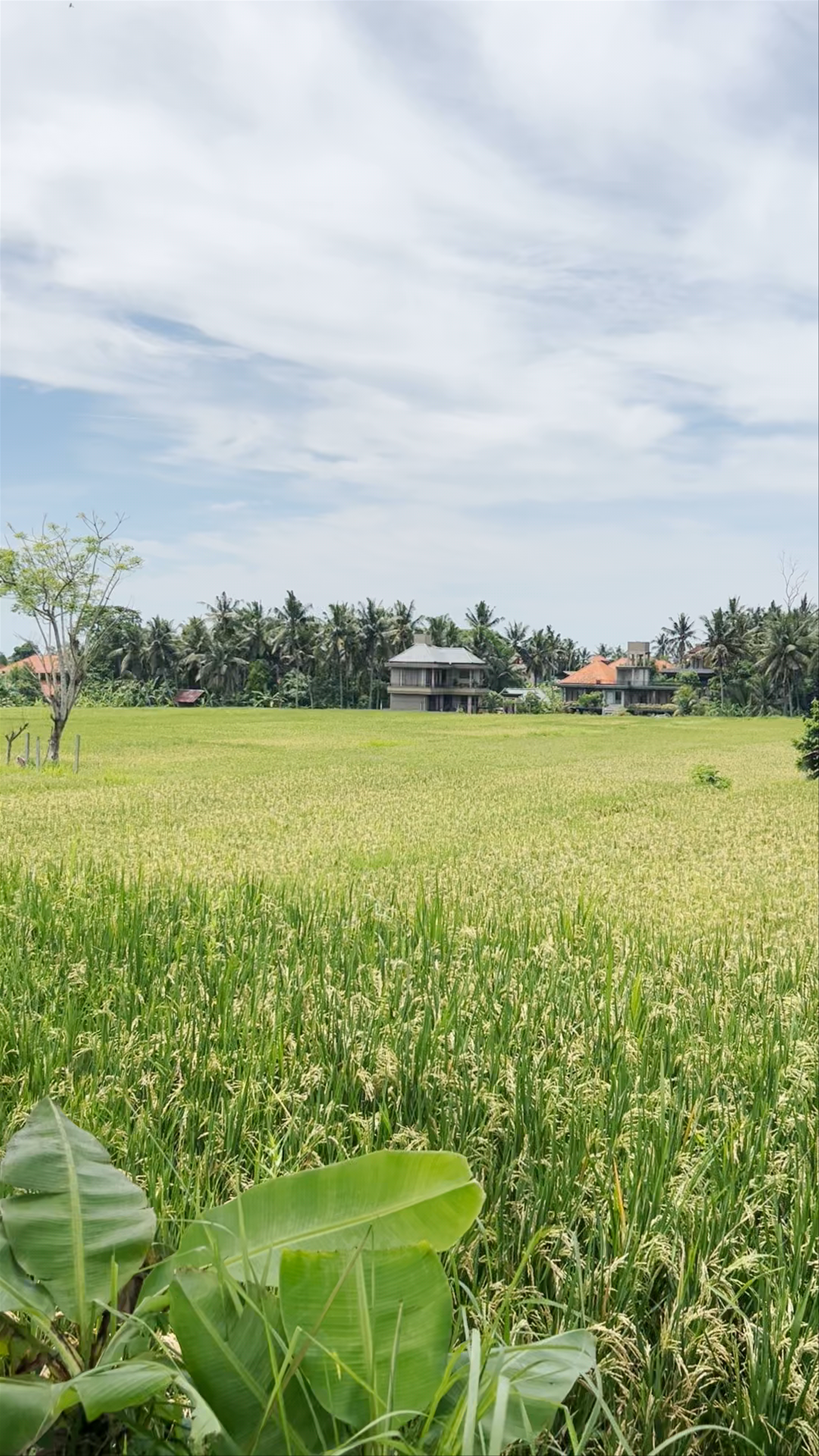 Sweet Orange Walk Trail