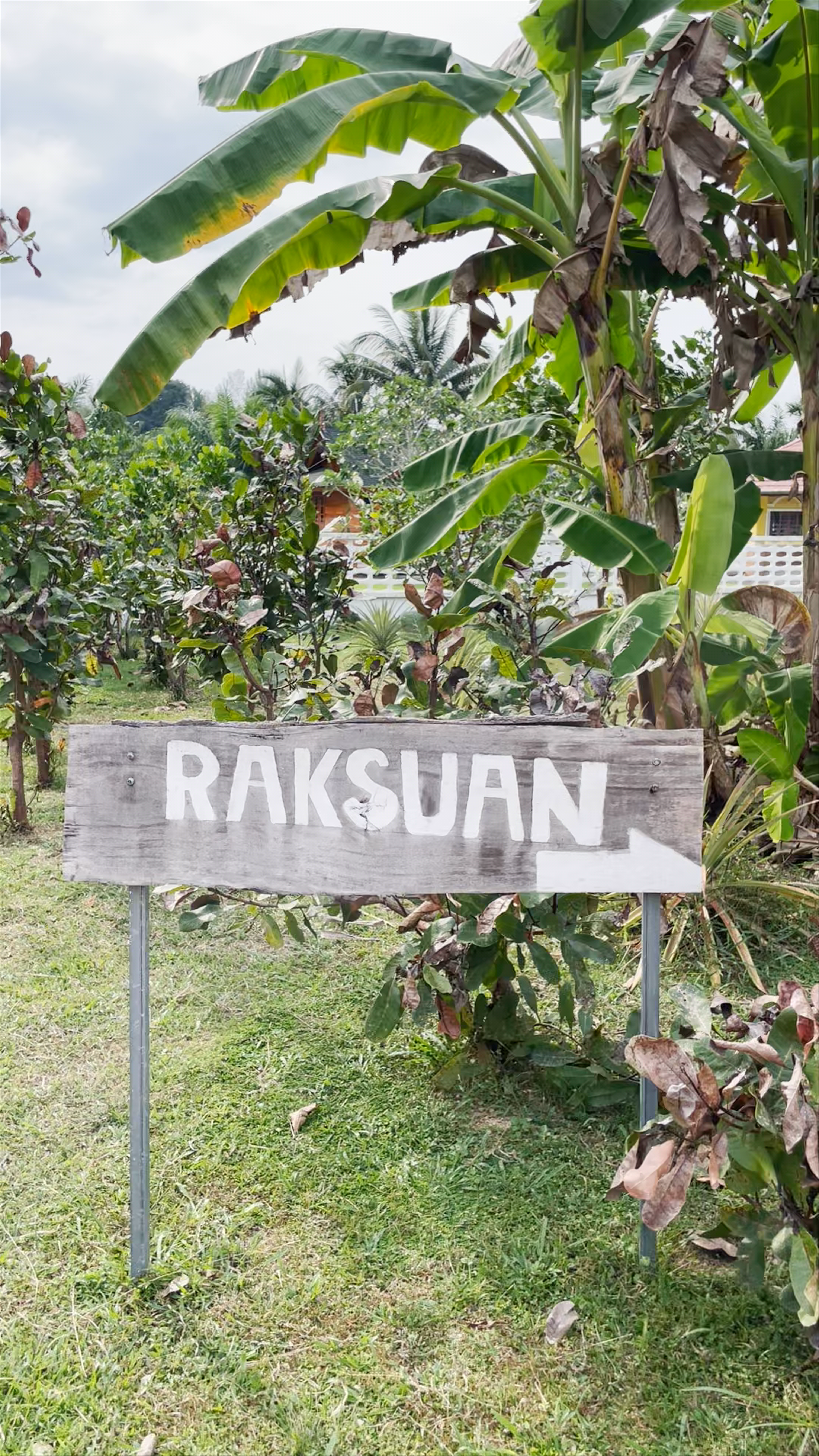 RakSuan Homestay: Tropical Serenity and Rustic Charm in Phang Nga, Thailand