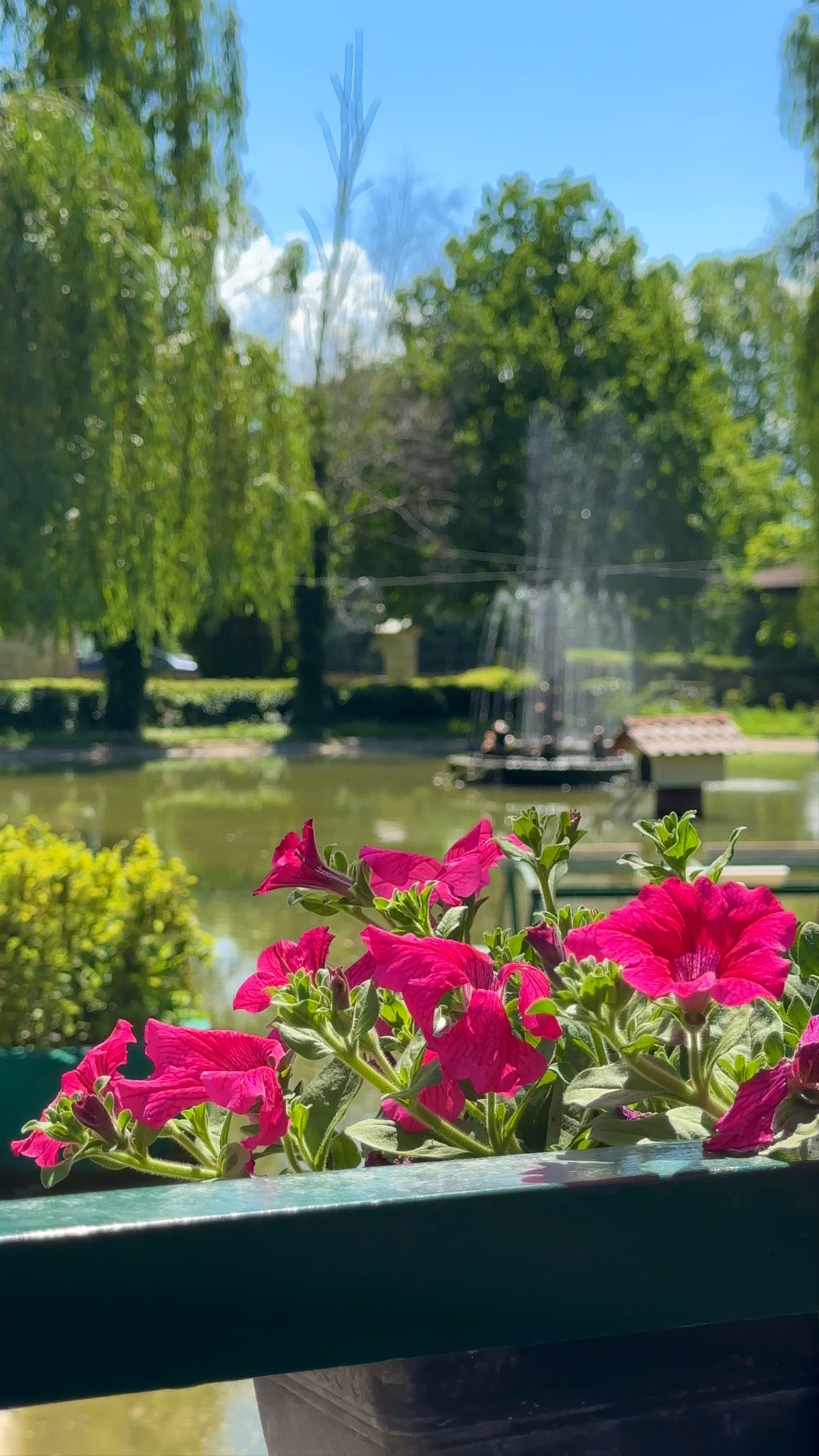 Hotel „Bellevue“