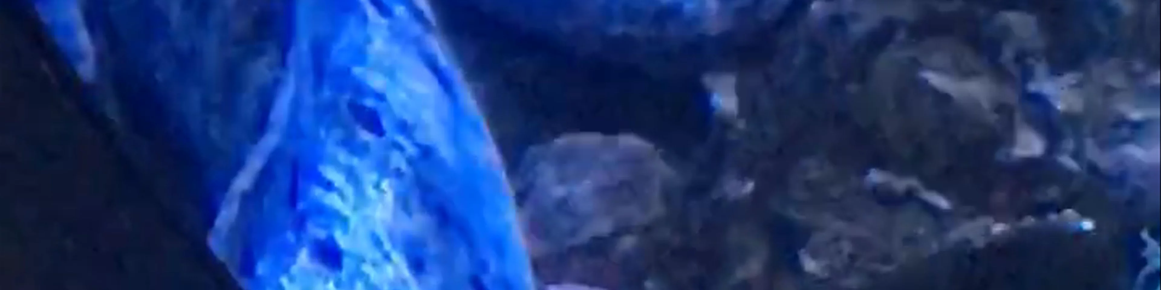 Adventure Aquarium