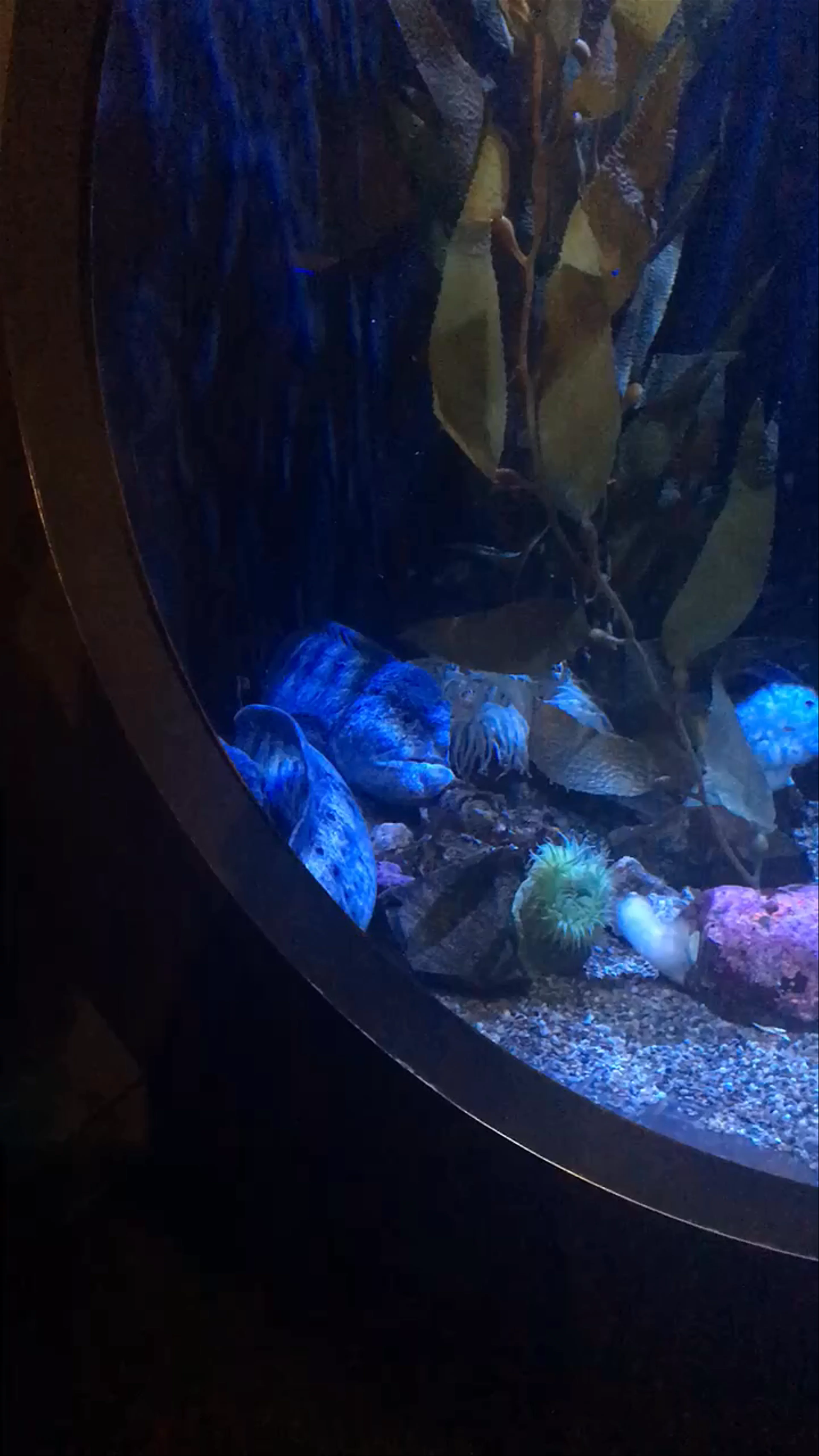 Adventure Aquarium