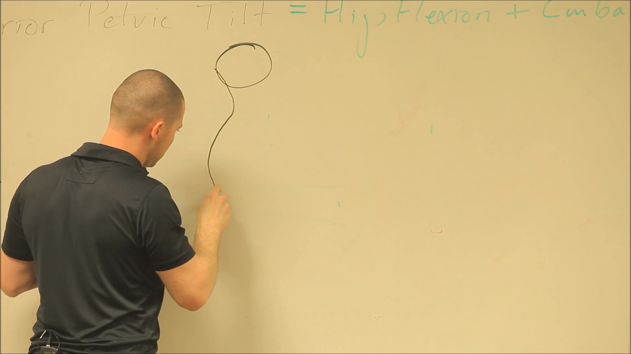 Human Movement Science Concepts 2: Video #27 of Introduction to Functional Anatomy