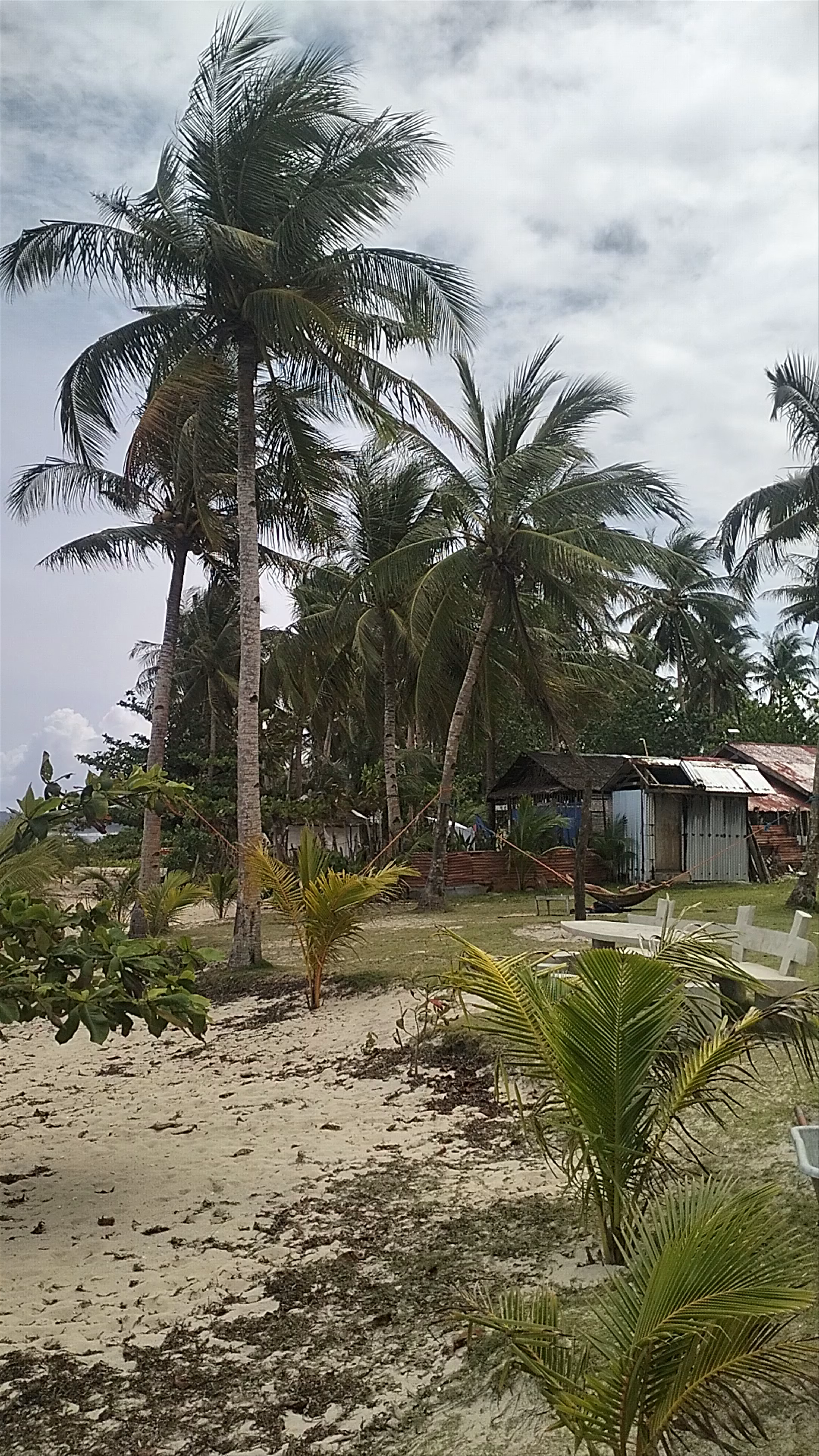 DaRosa Del Mar Beach Resort & Restaurant