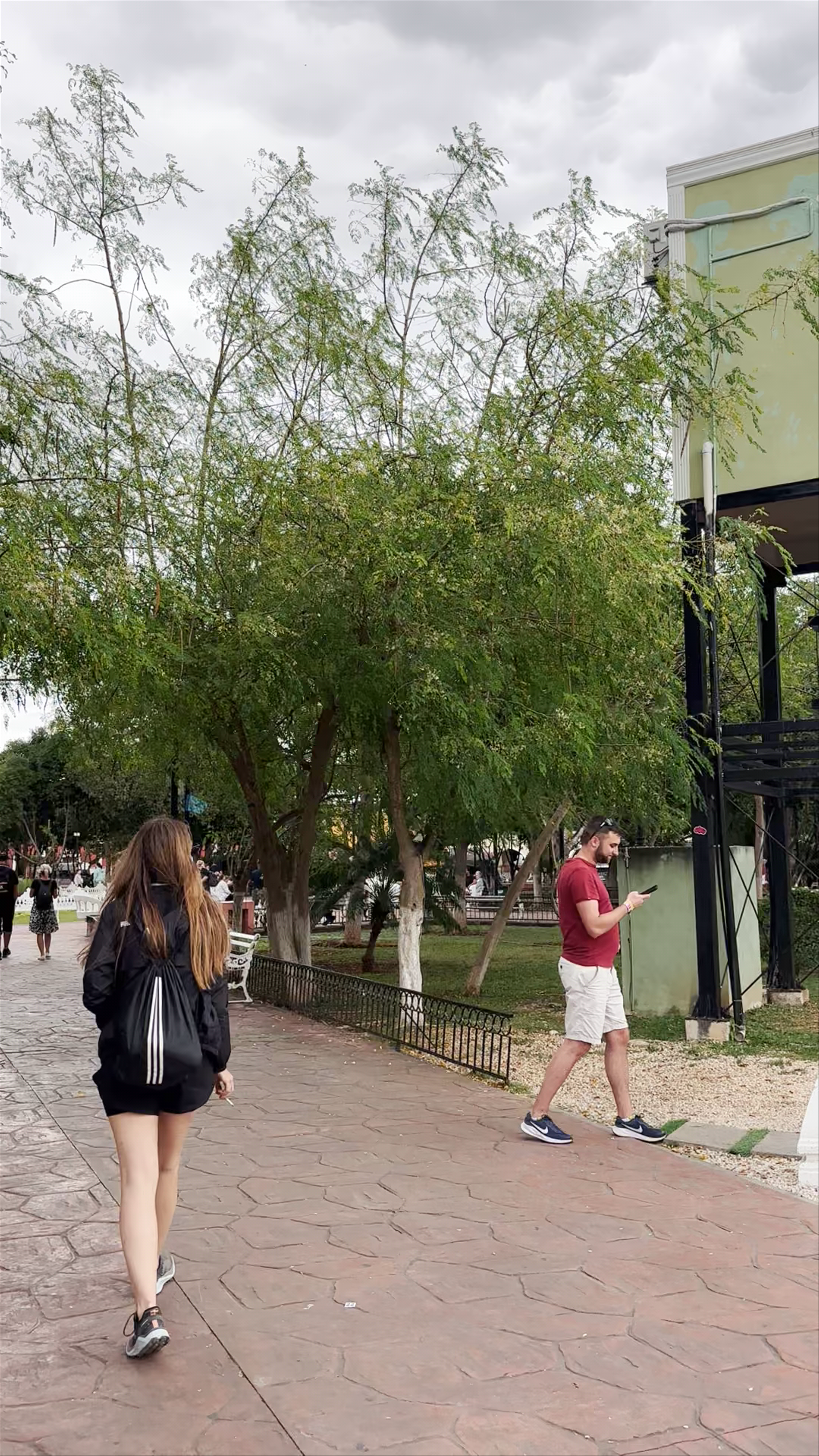 Parque Principal Francisco Cantón Rosado