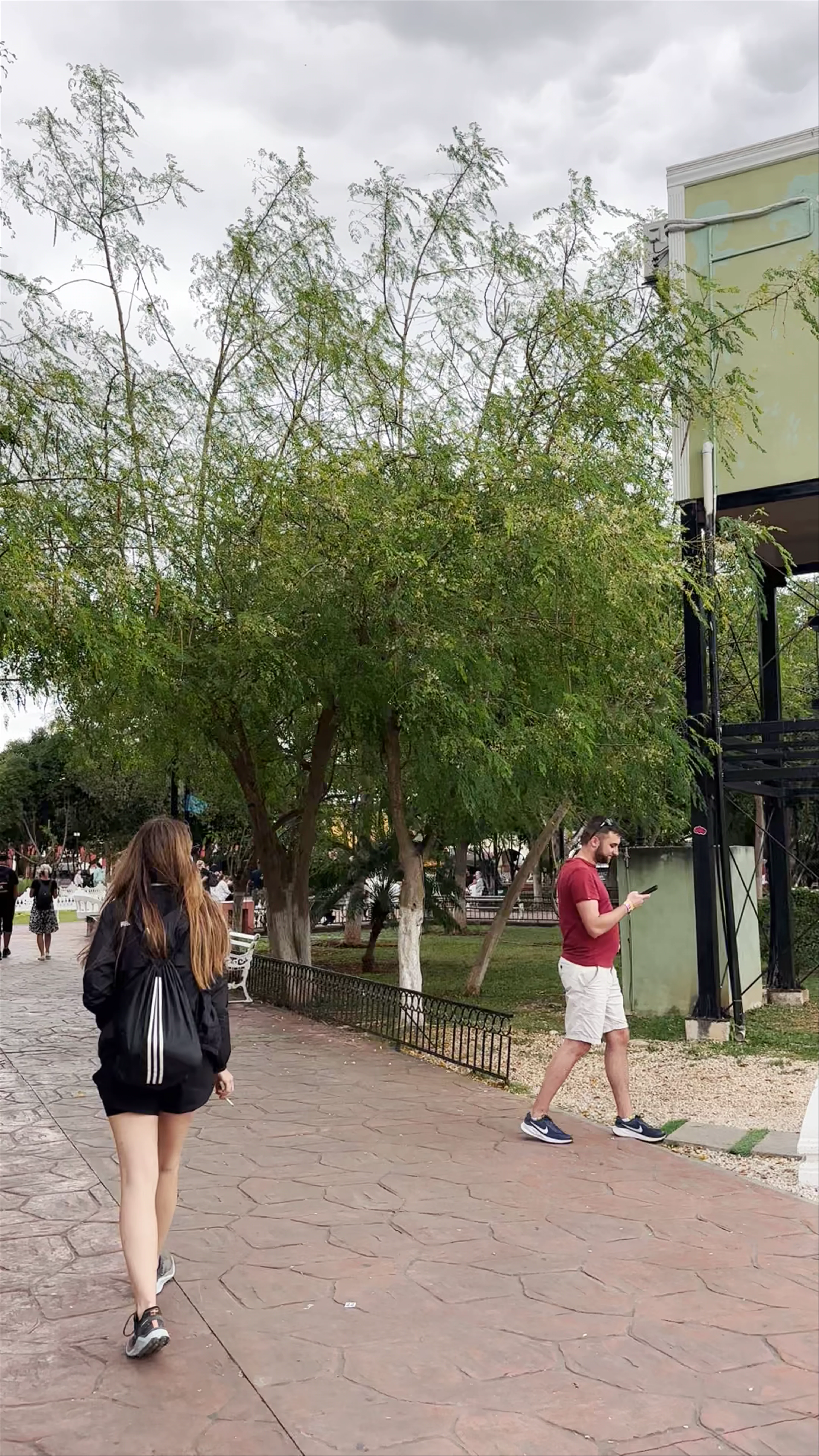 Parque Principal Francisco Cantón Rosado