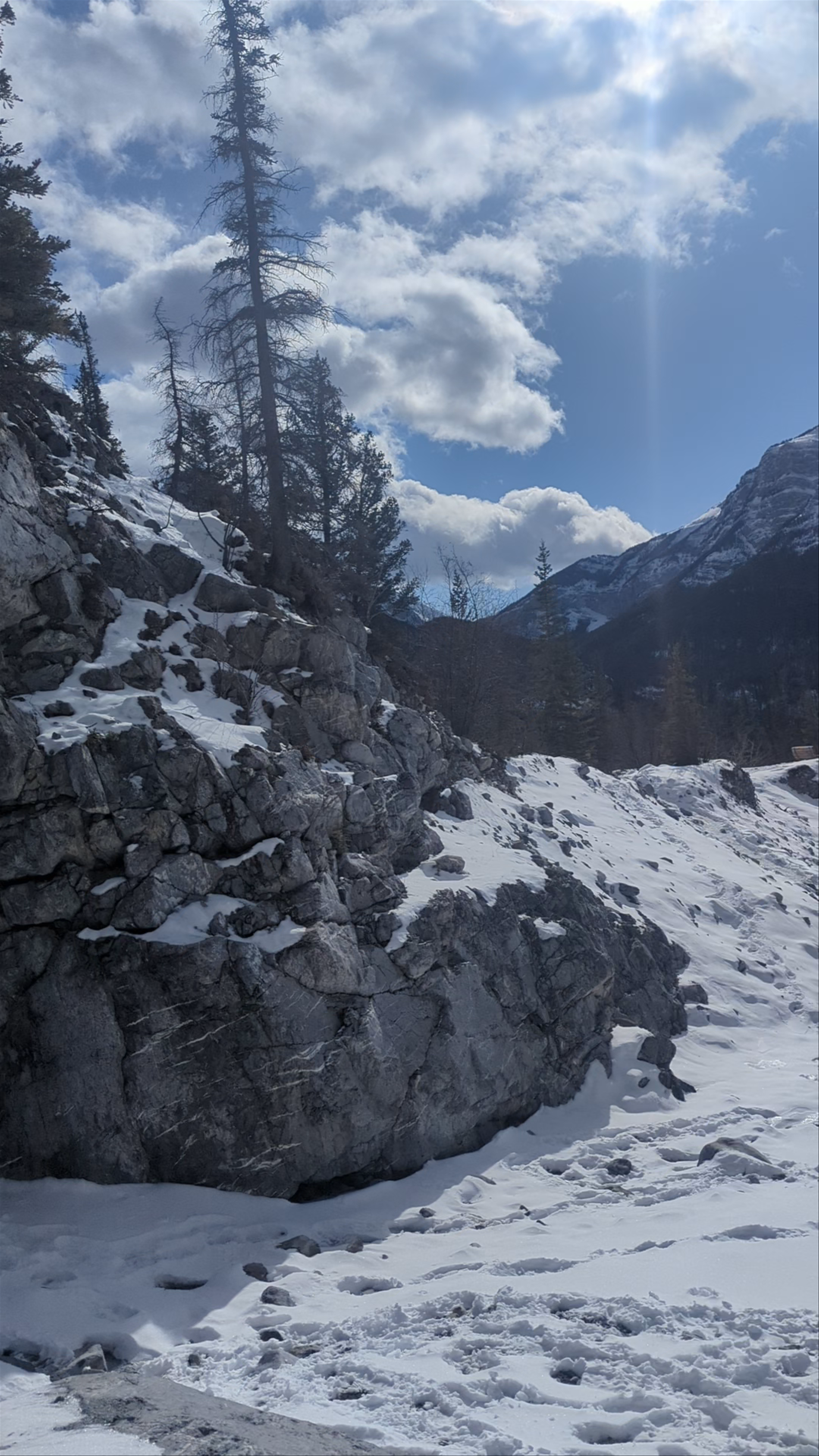 Grotto Canyon Trail: Winter Hike Amidst Rocky Mountains