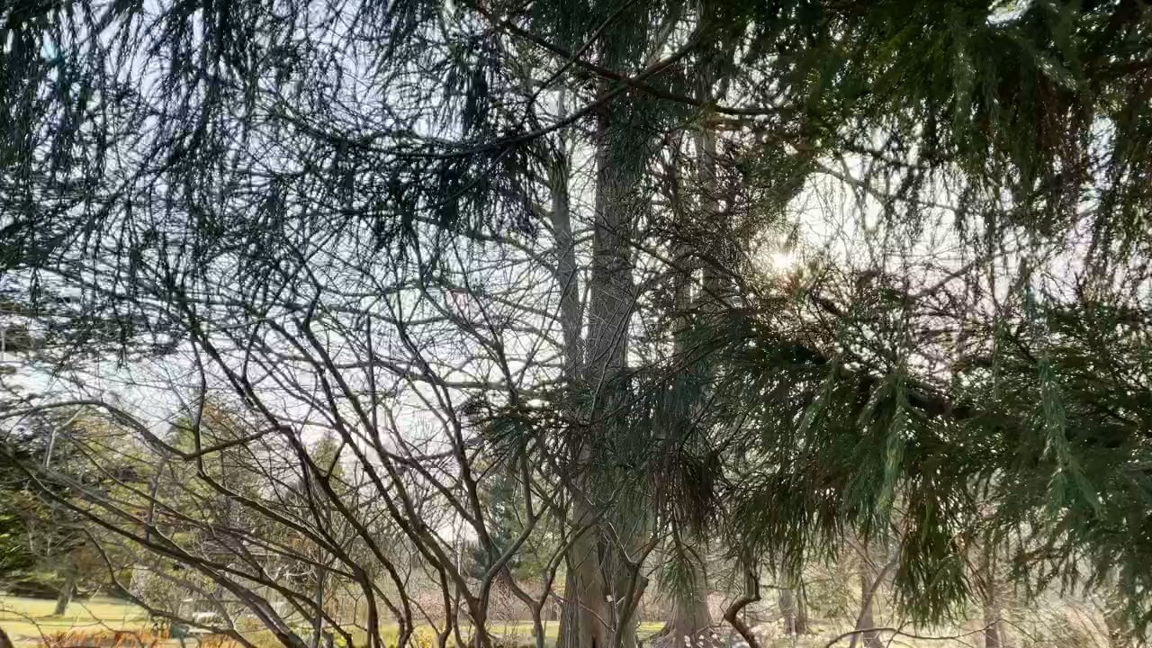Video thumbnail 5 more videos