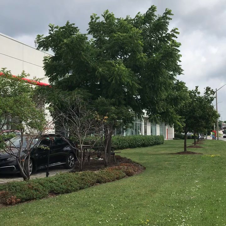 Markham Honda - Markham Honda Dealership - Car Dealers Near Me - Markham, Ontario