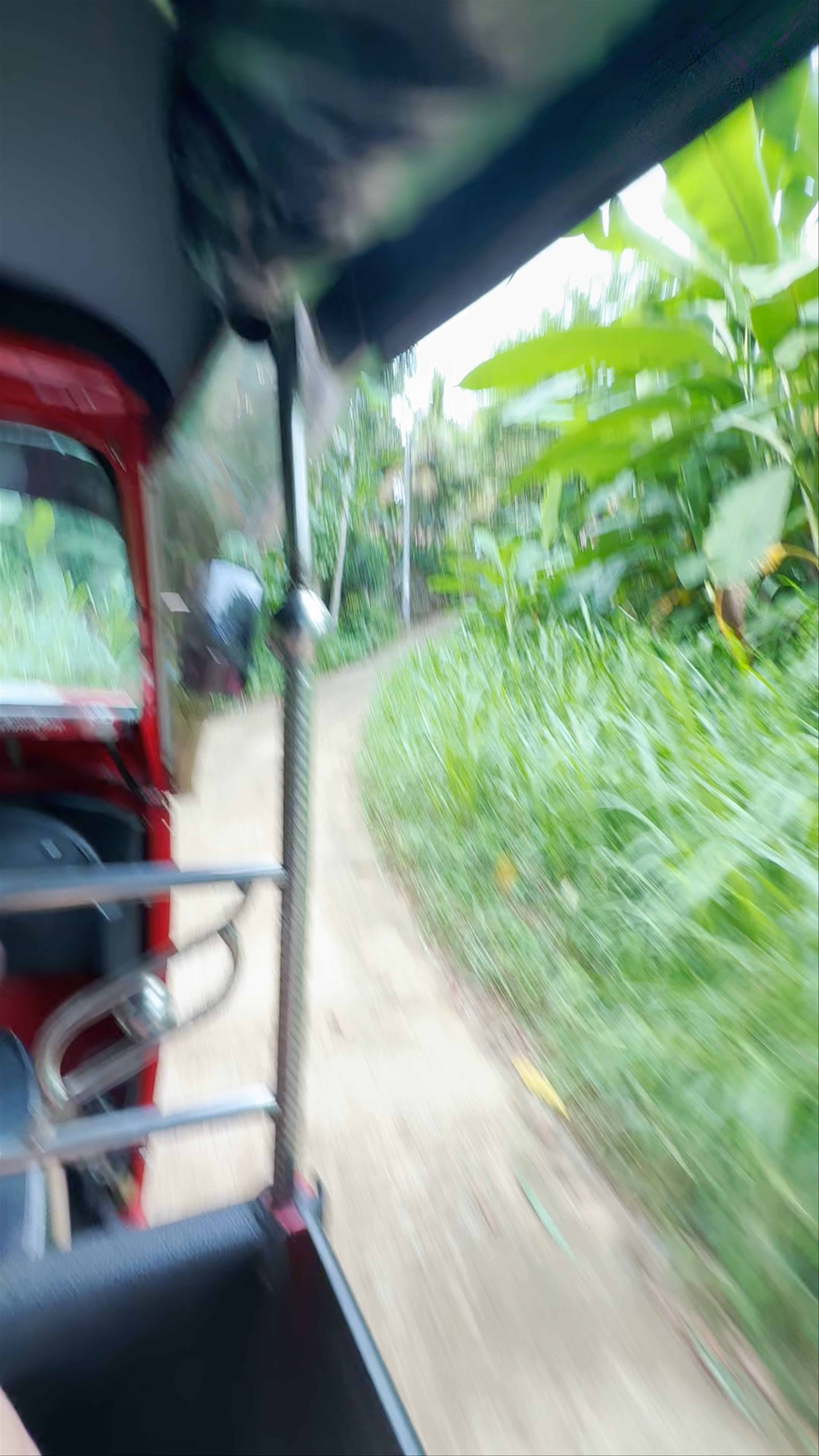 Tuk Tuk Safari Sri Lanka