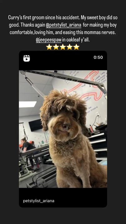 Jeepee's Spaw - Pet Groomers Near Me - Orange Park, Florida