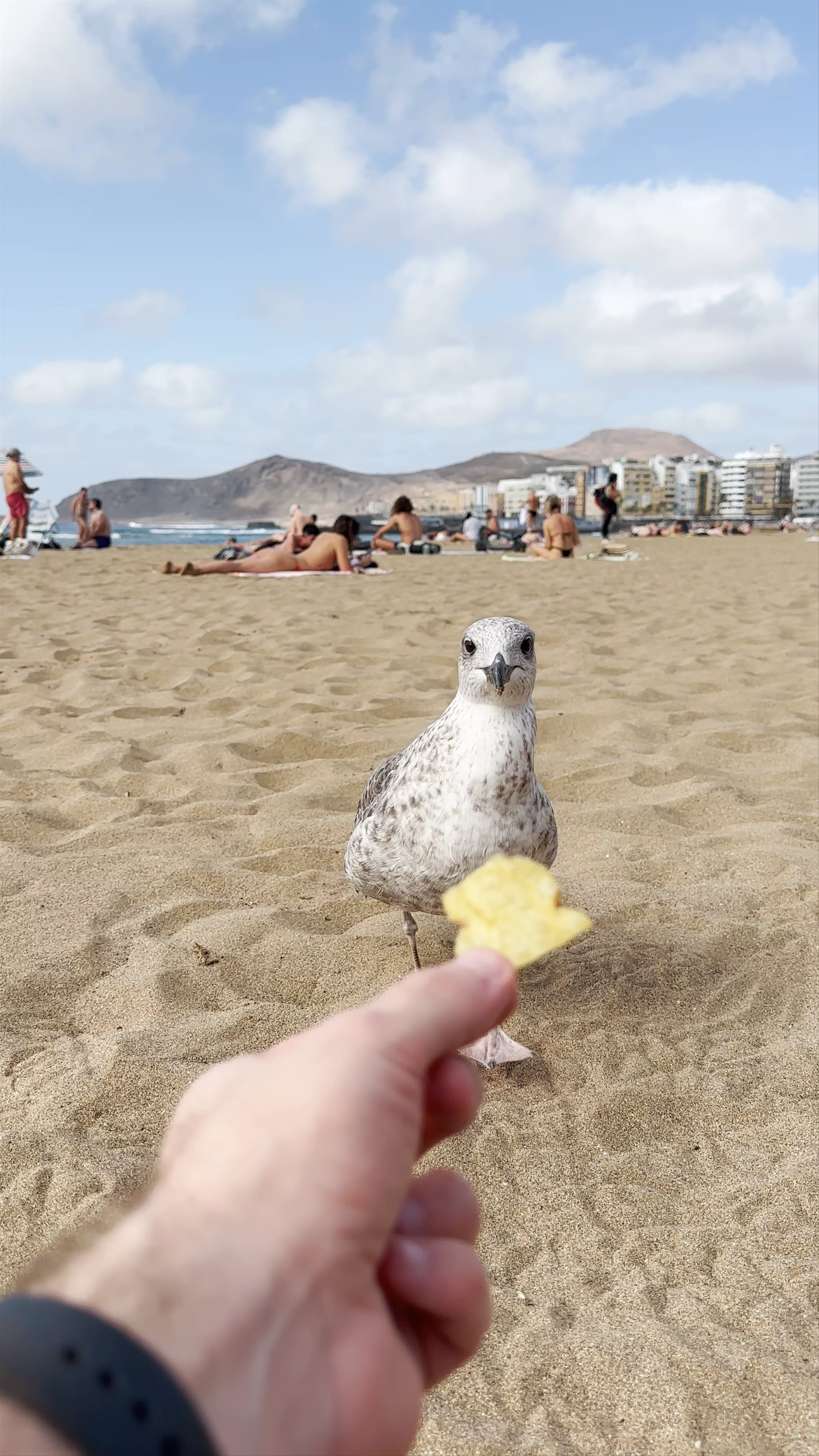 Playa de Las Canteras
