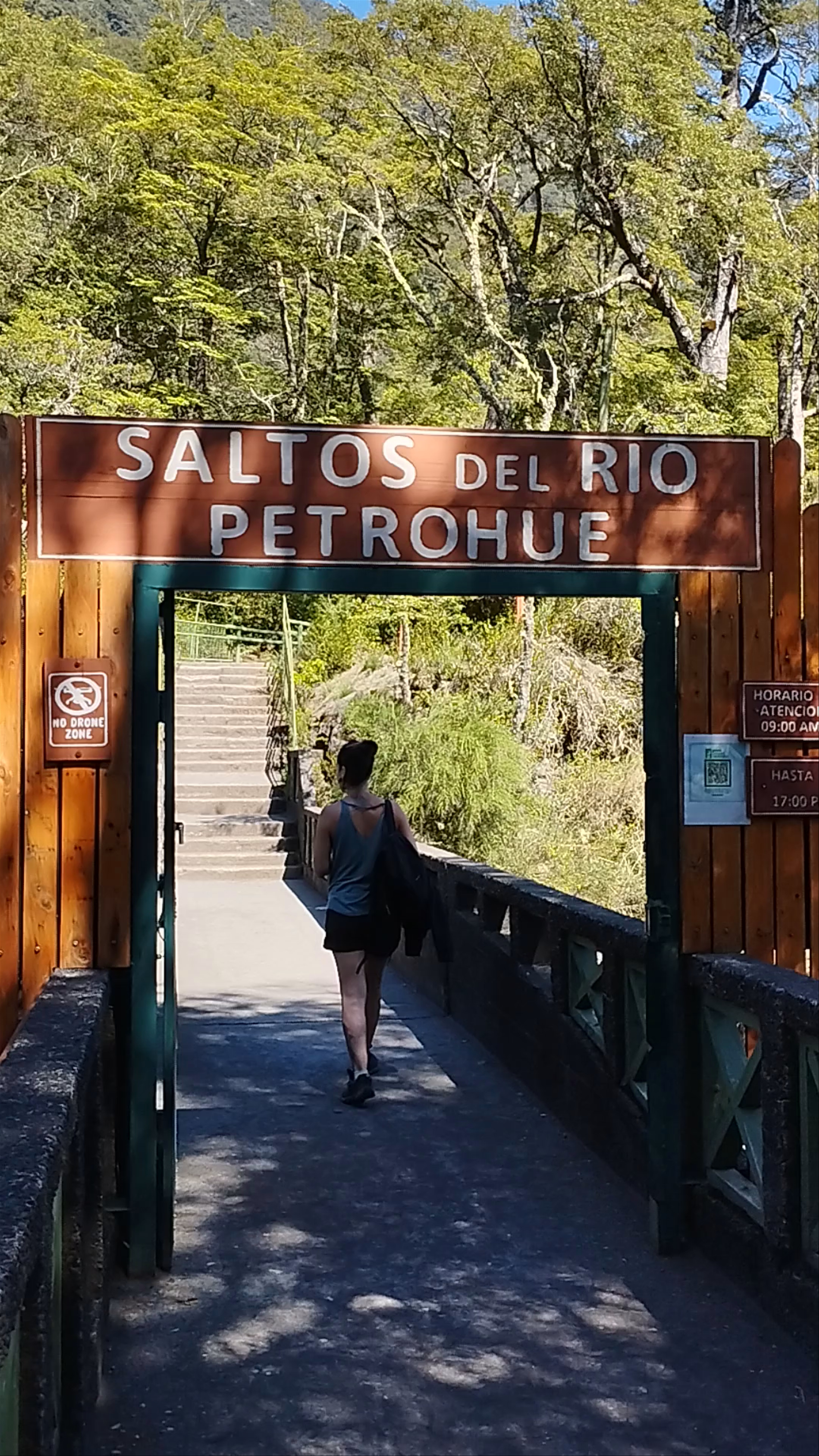 Parque Nacional Vicente Pérez Rosales