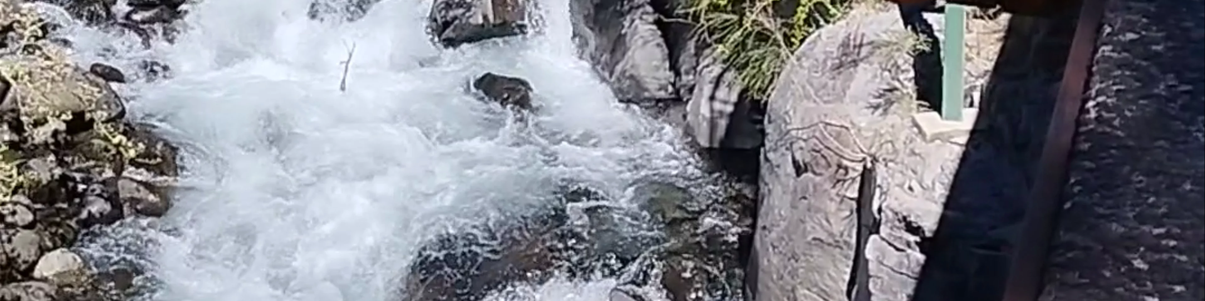 Parque Nacional Vicente Pérez Rosales