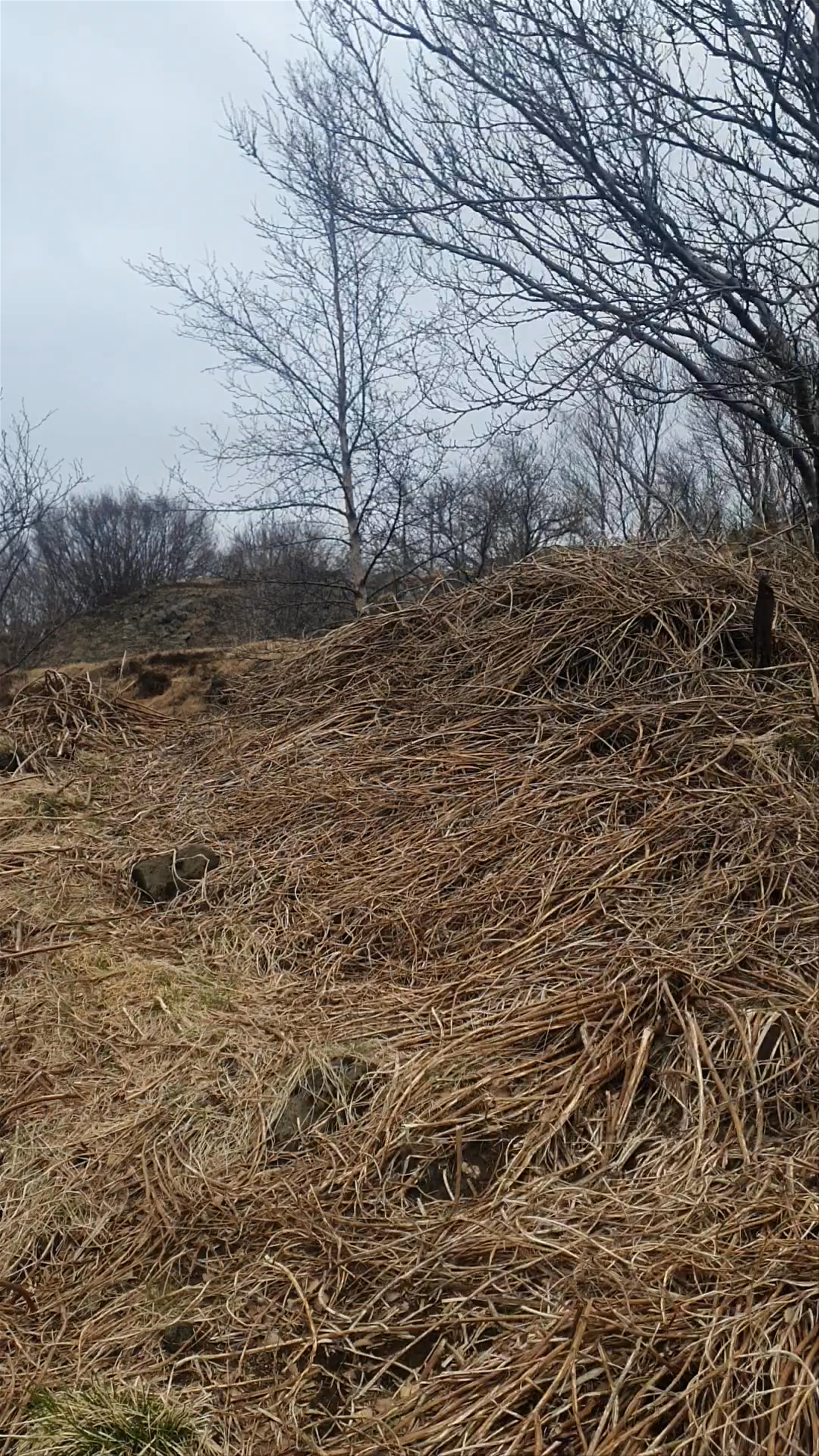 Skotbyrgi úr seinna stríði