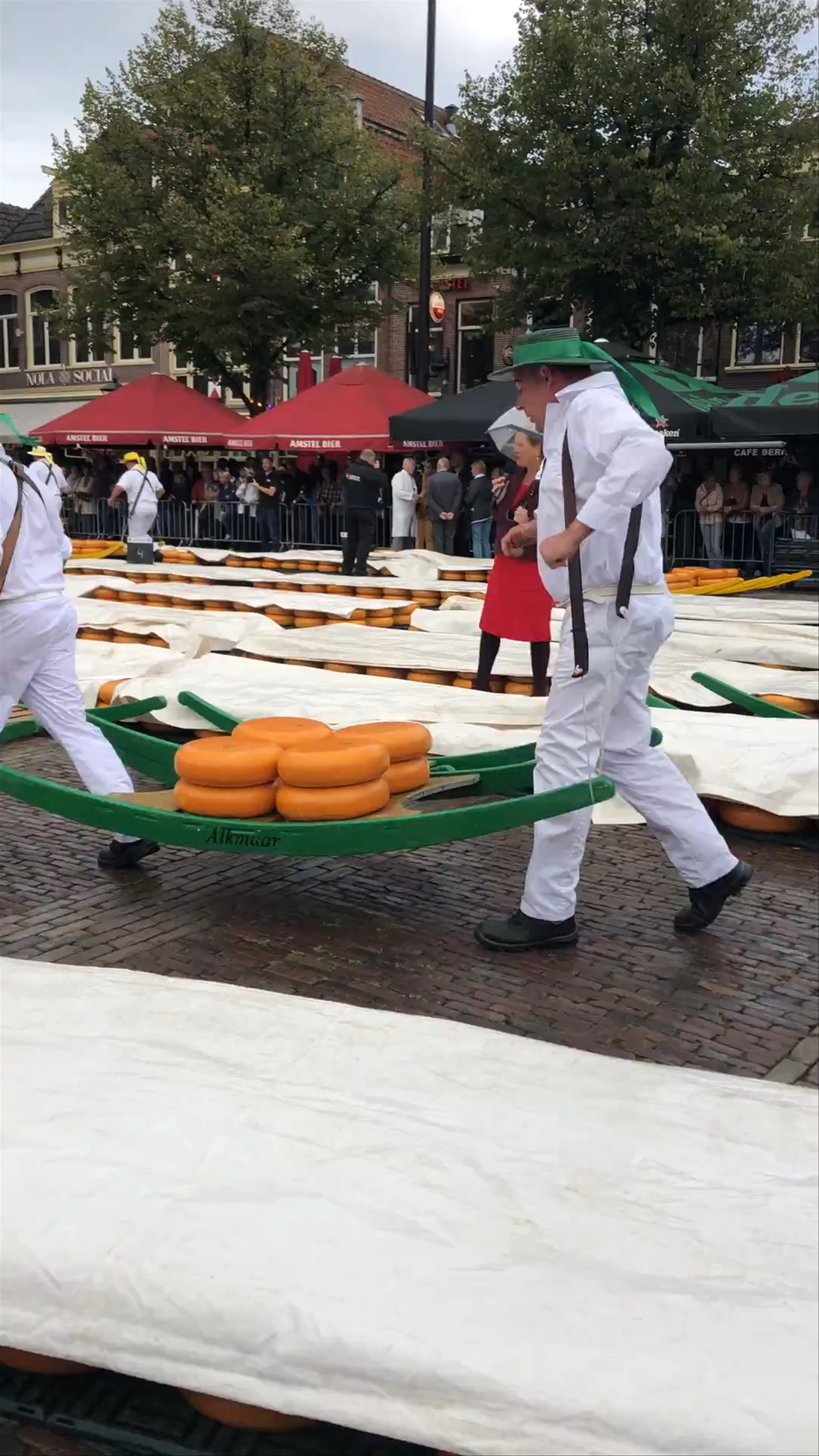 Alkmaar cheese market