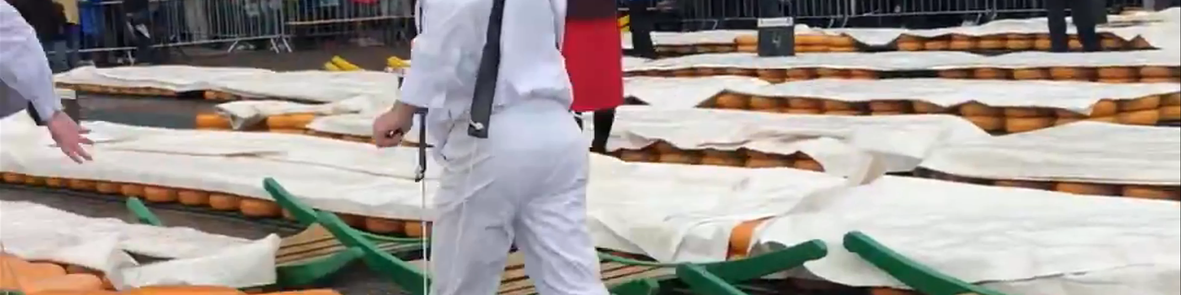 Alkmaar cheese market