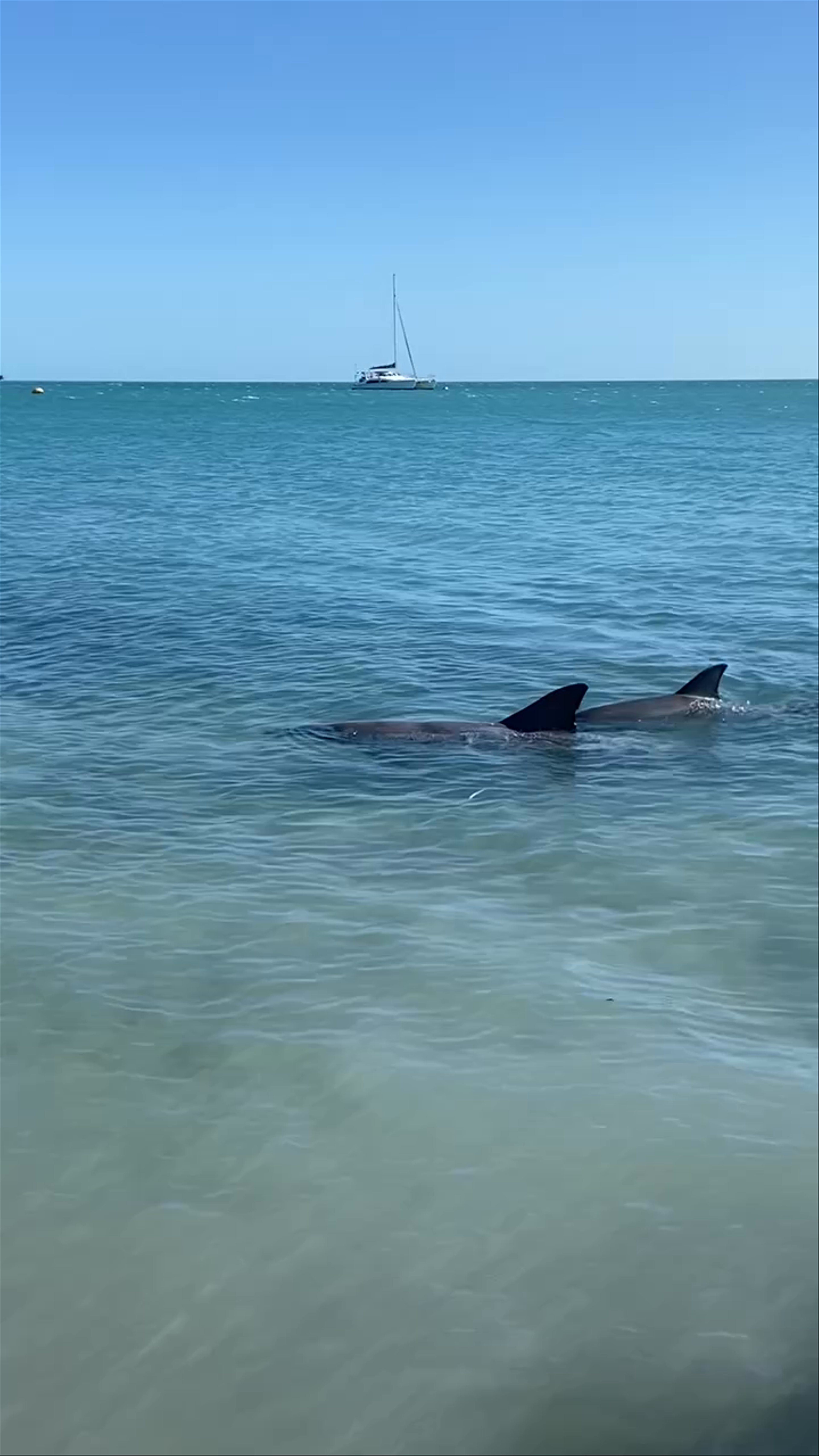 Monkey Mia Conservation Park Visitor Centre