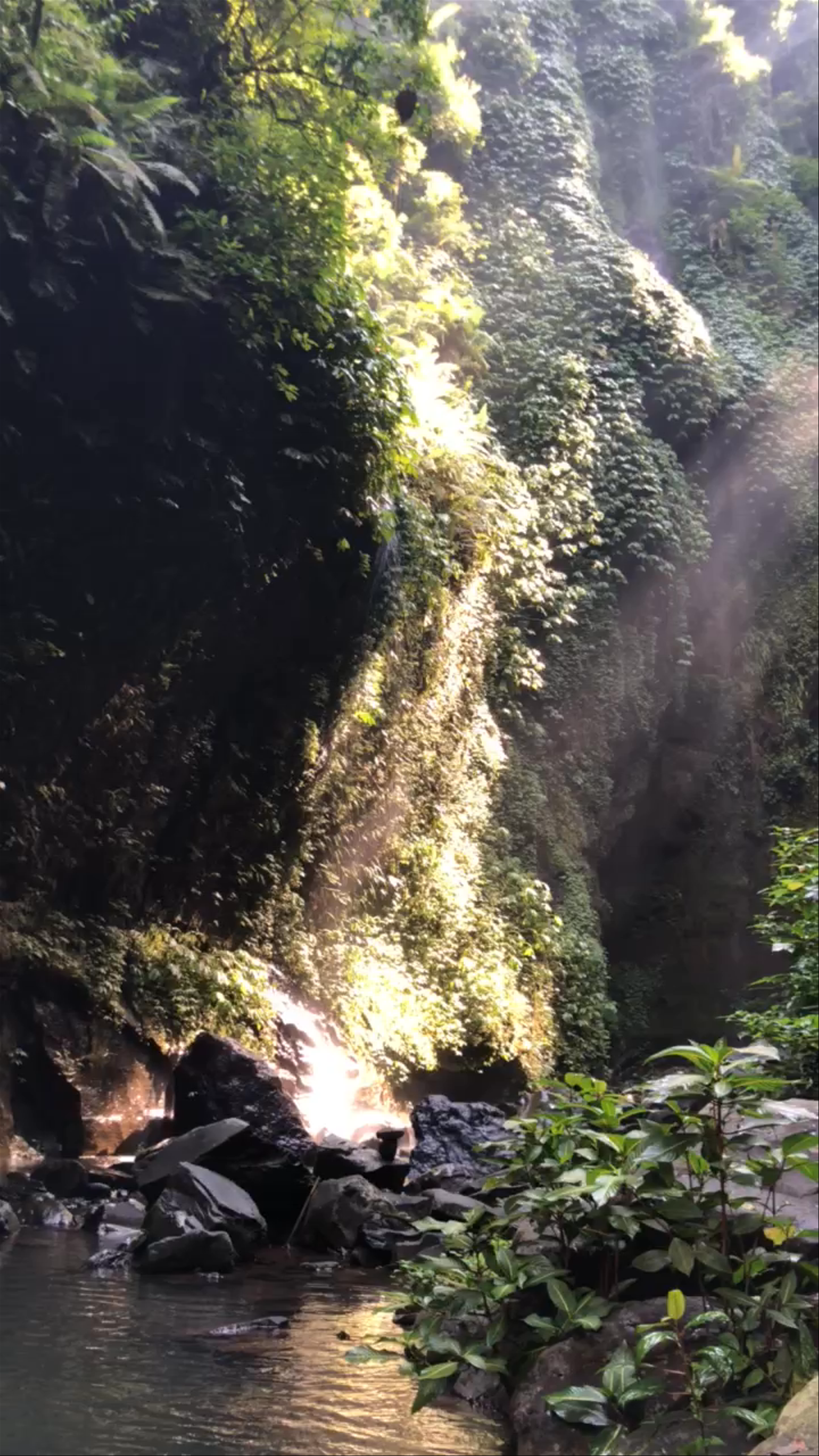 Sekumpul Waterfall: Mystical Jungle Light in Bali