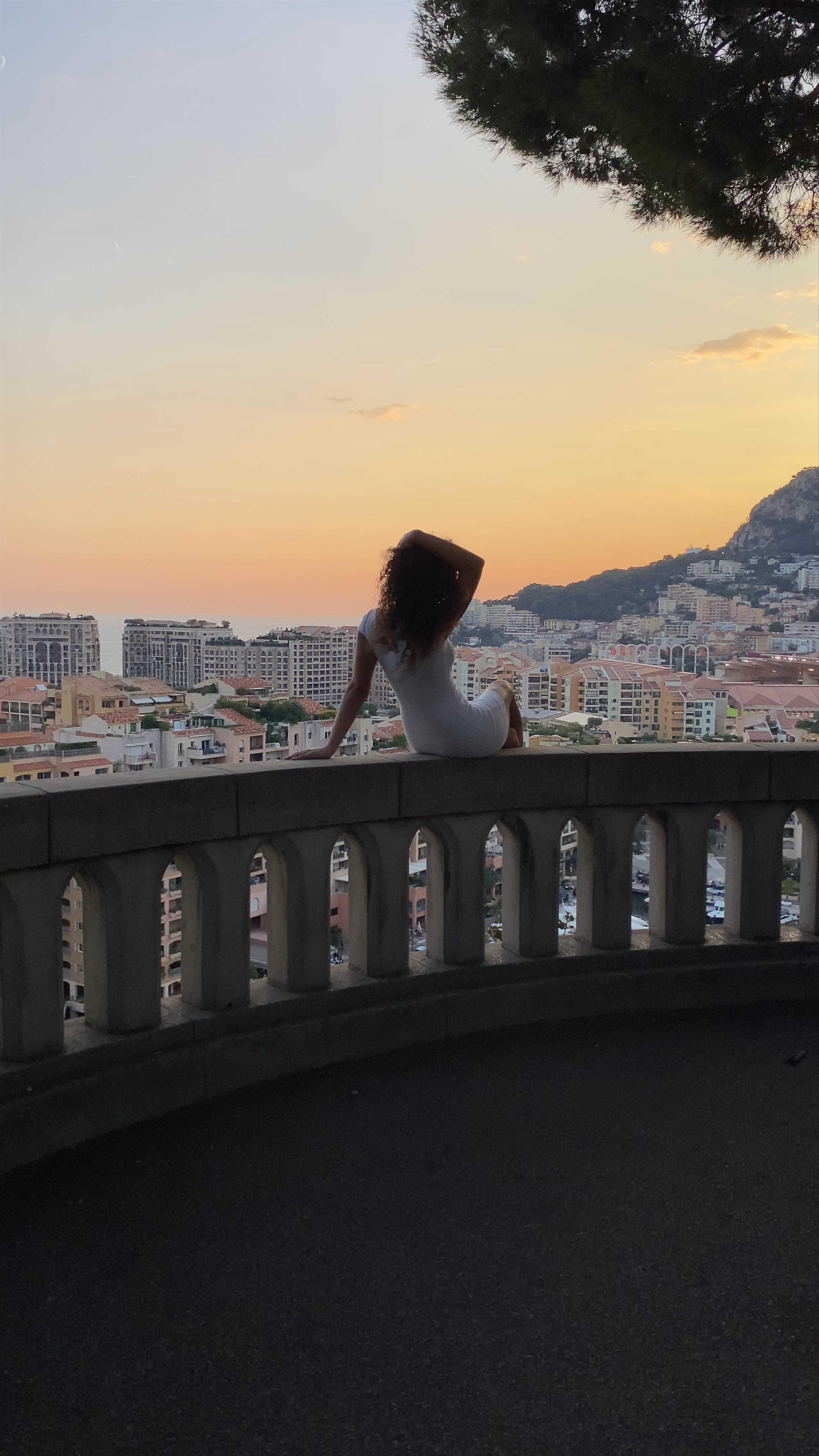 Port of Fontvieille viewpoint