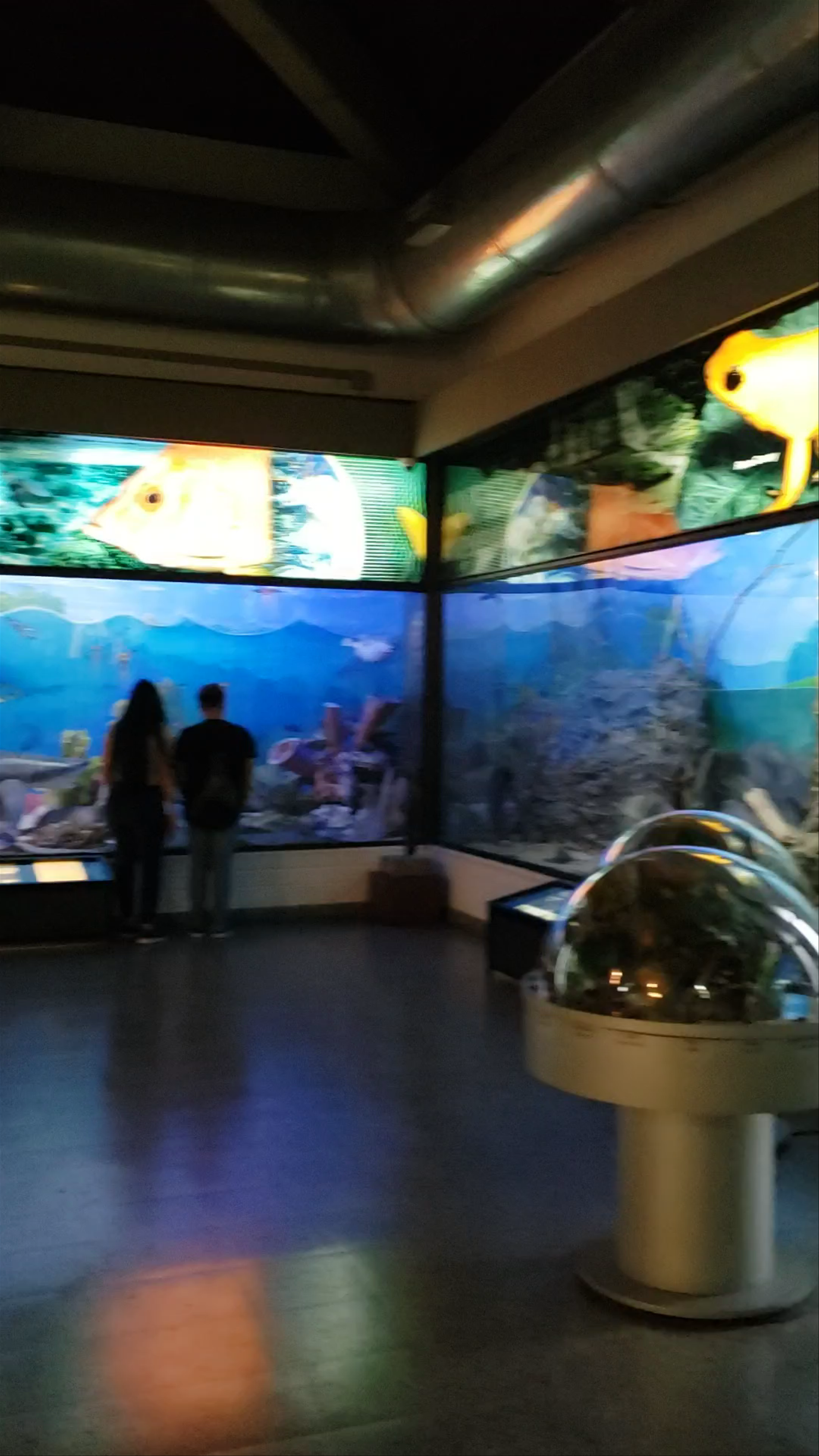 Museo Universidad de Antioquia: Natural Wonders of Medellín
