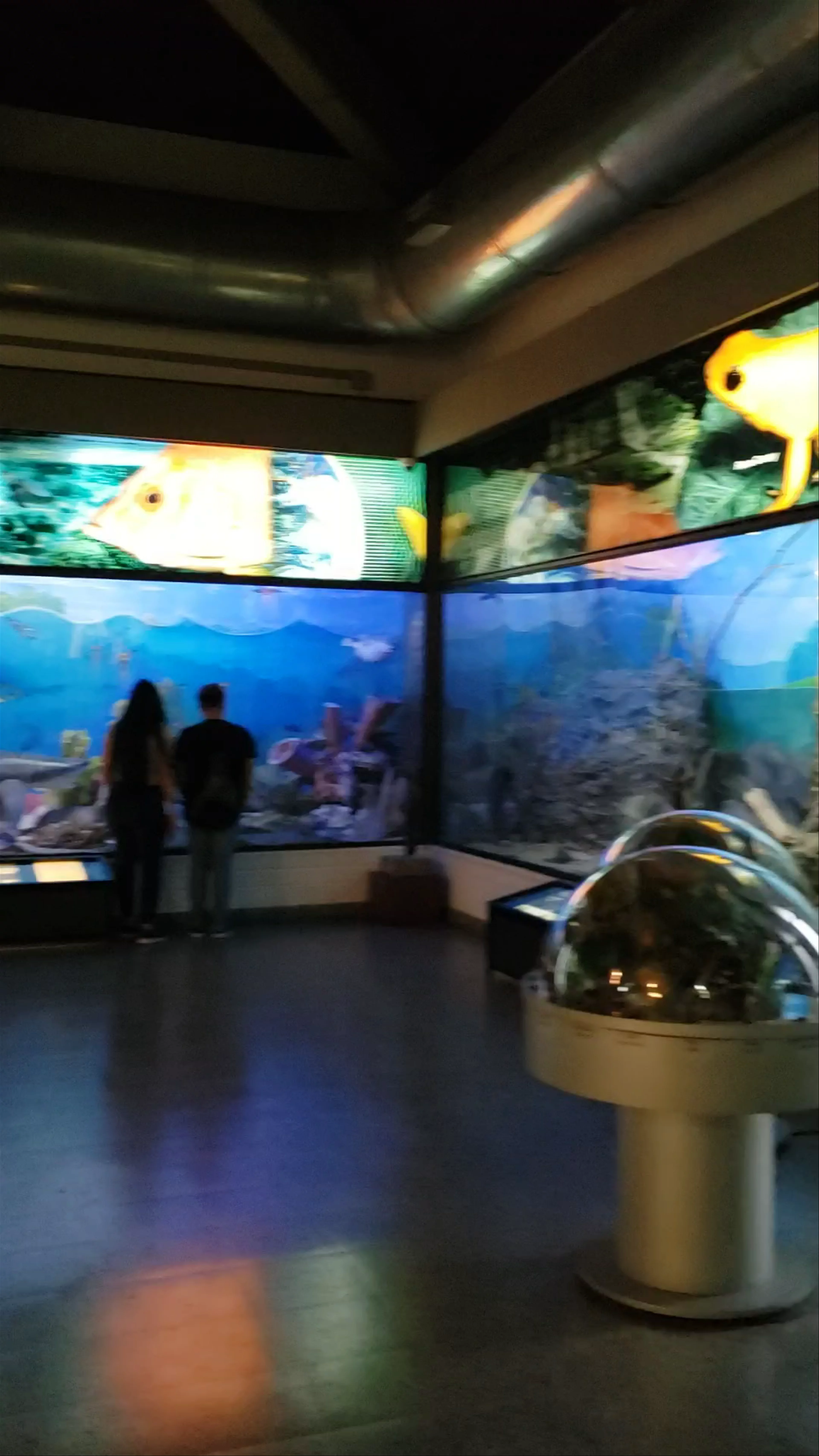 Museo Universidad de Antioquia