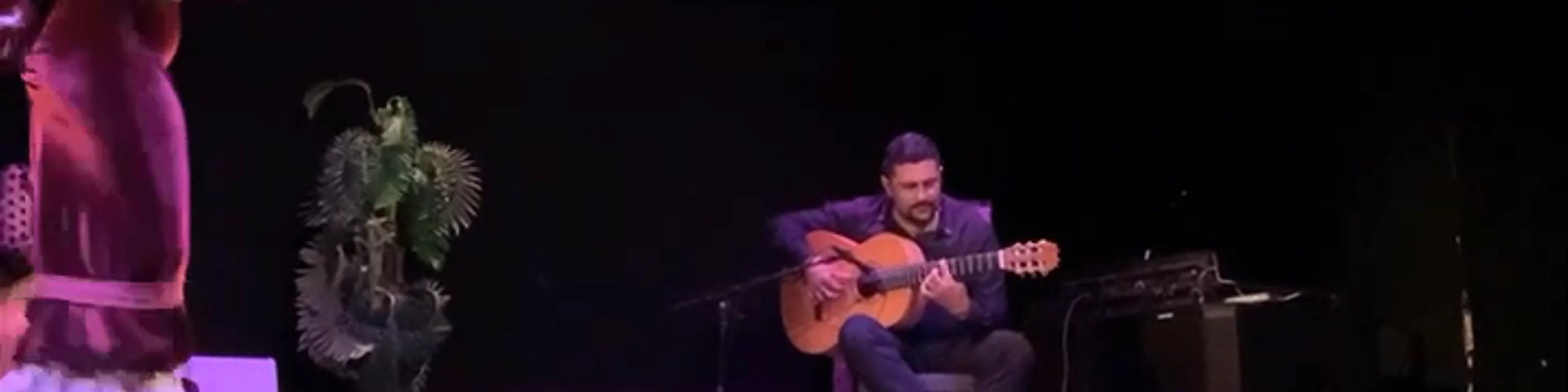 Flamenco Barcelona SL
