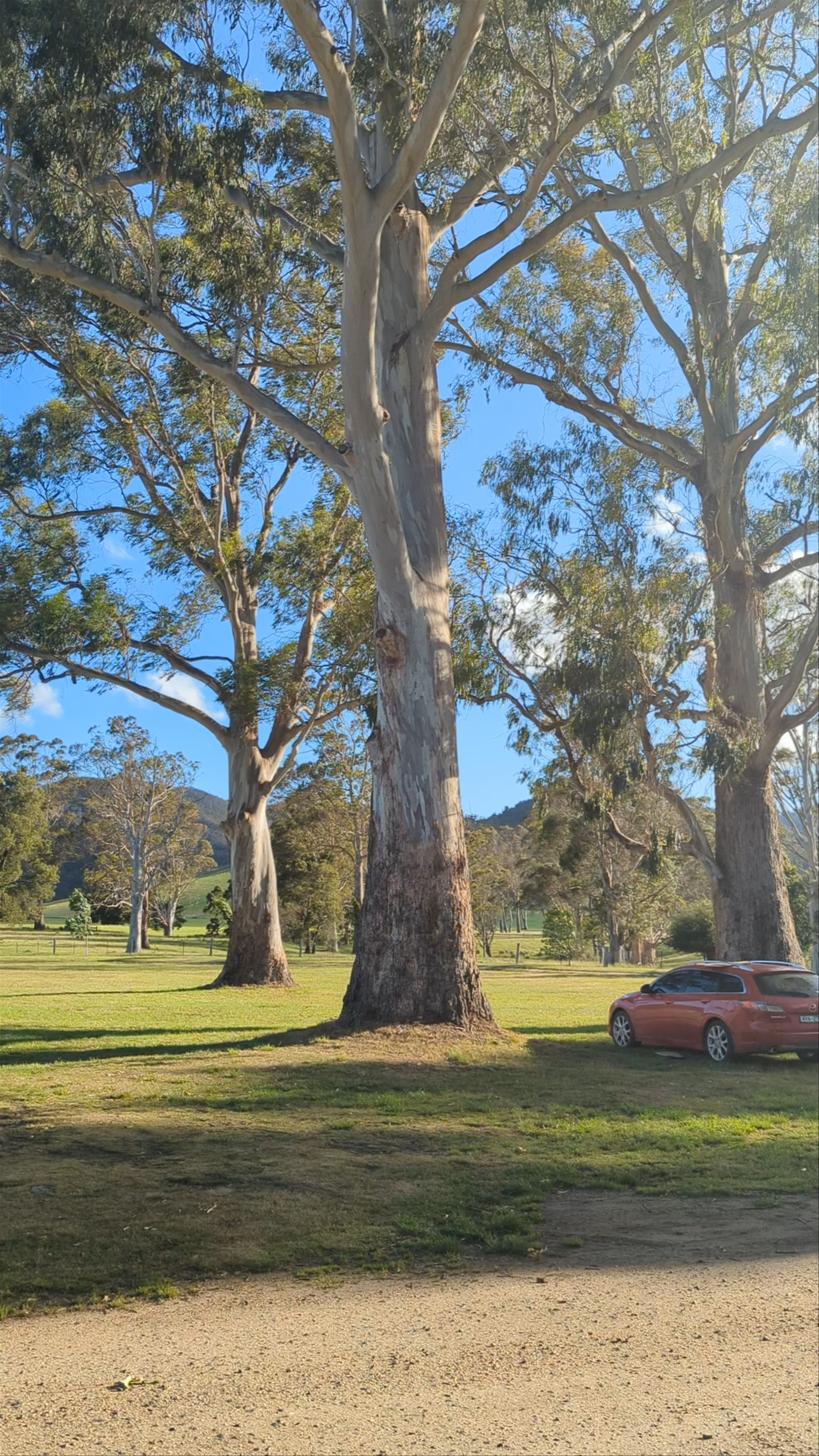 Pyengana Recreation Reserve