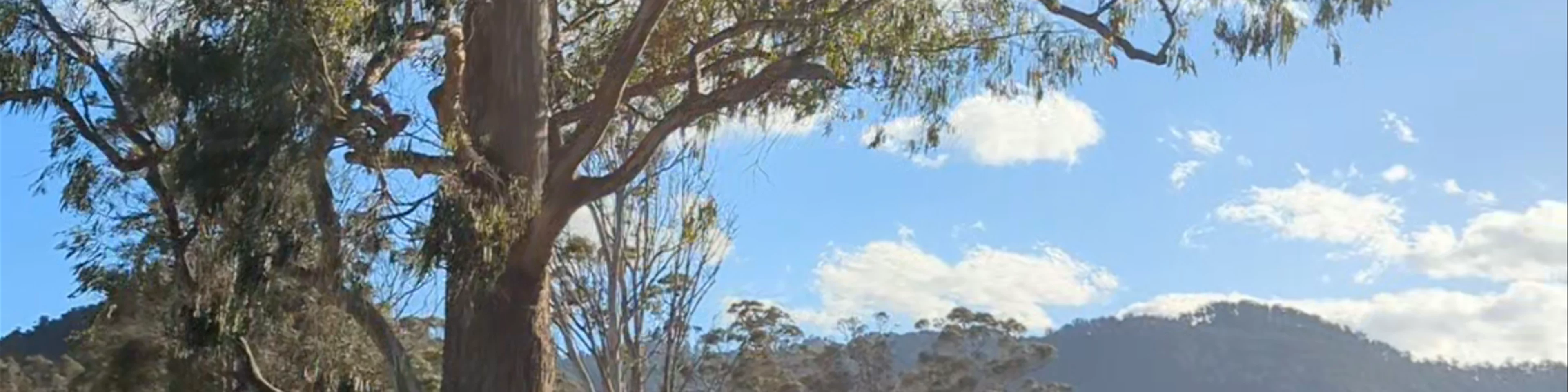 Pyengana Recreation Reserve