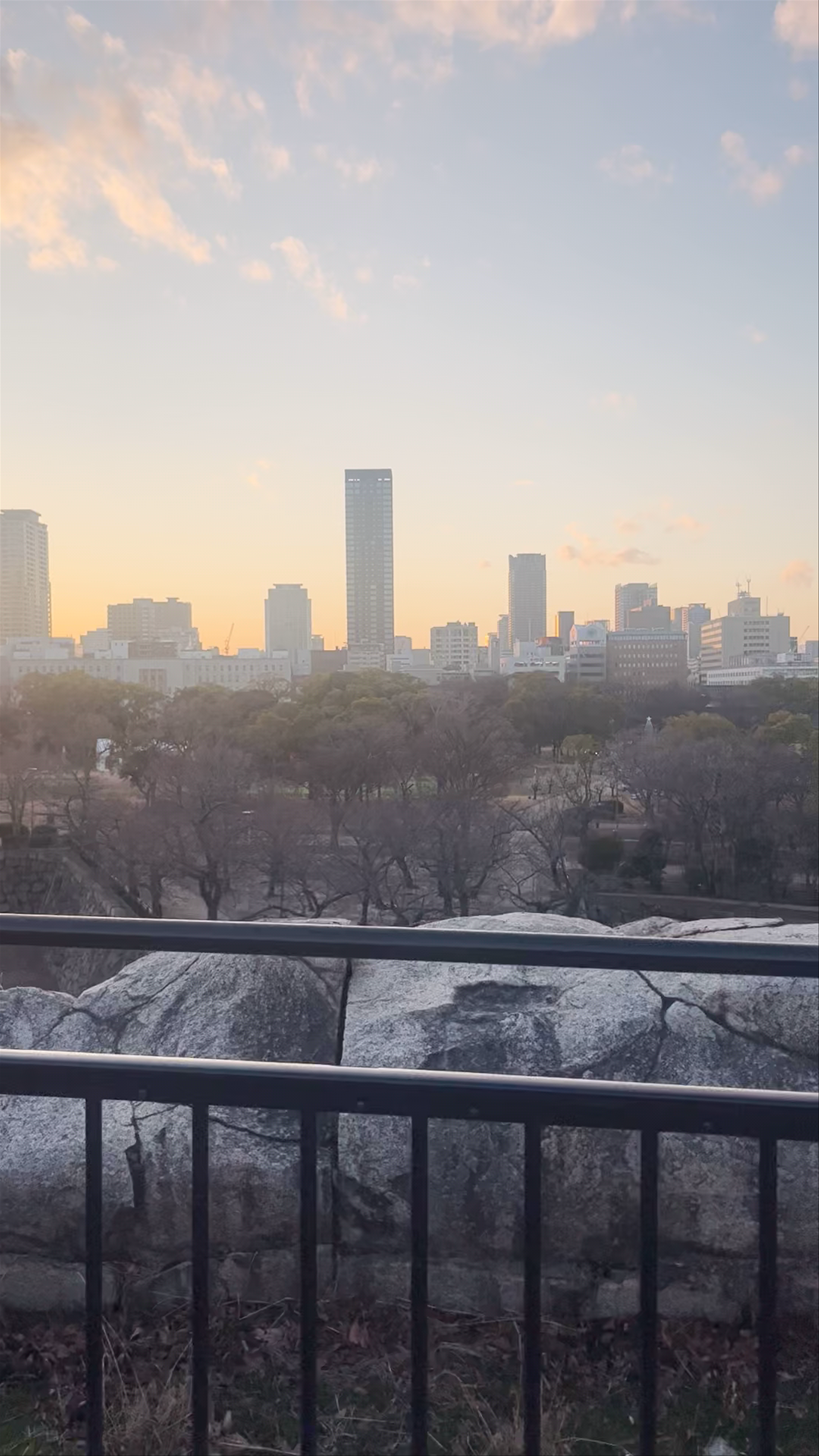 Osaka Castle