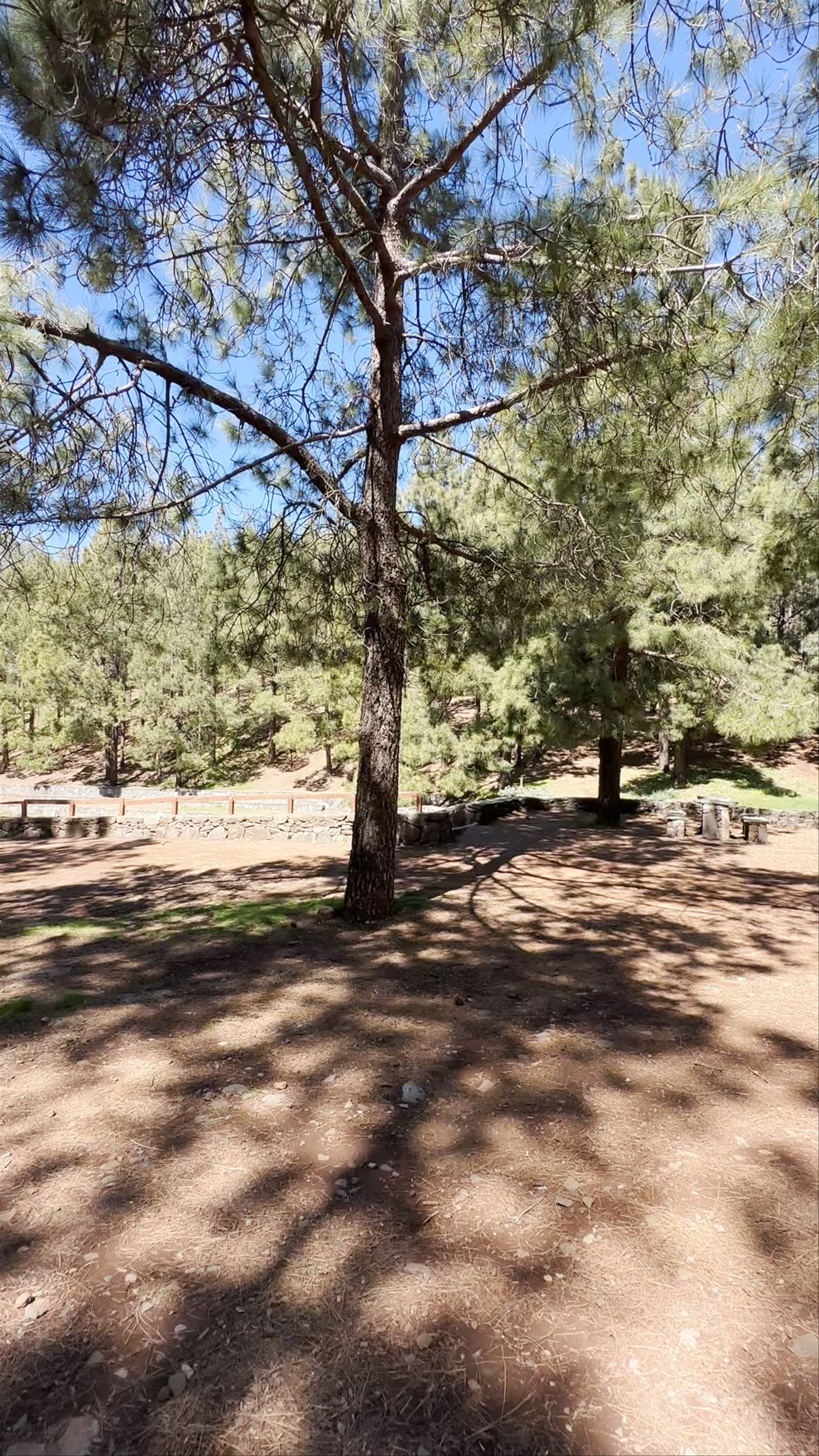 Llanos de La Pez