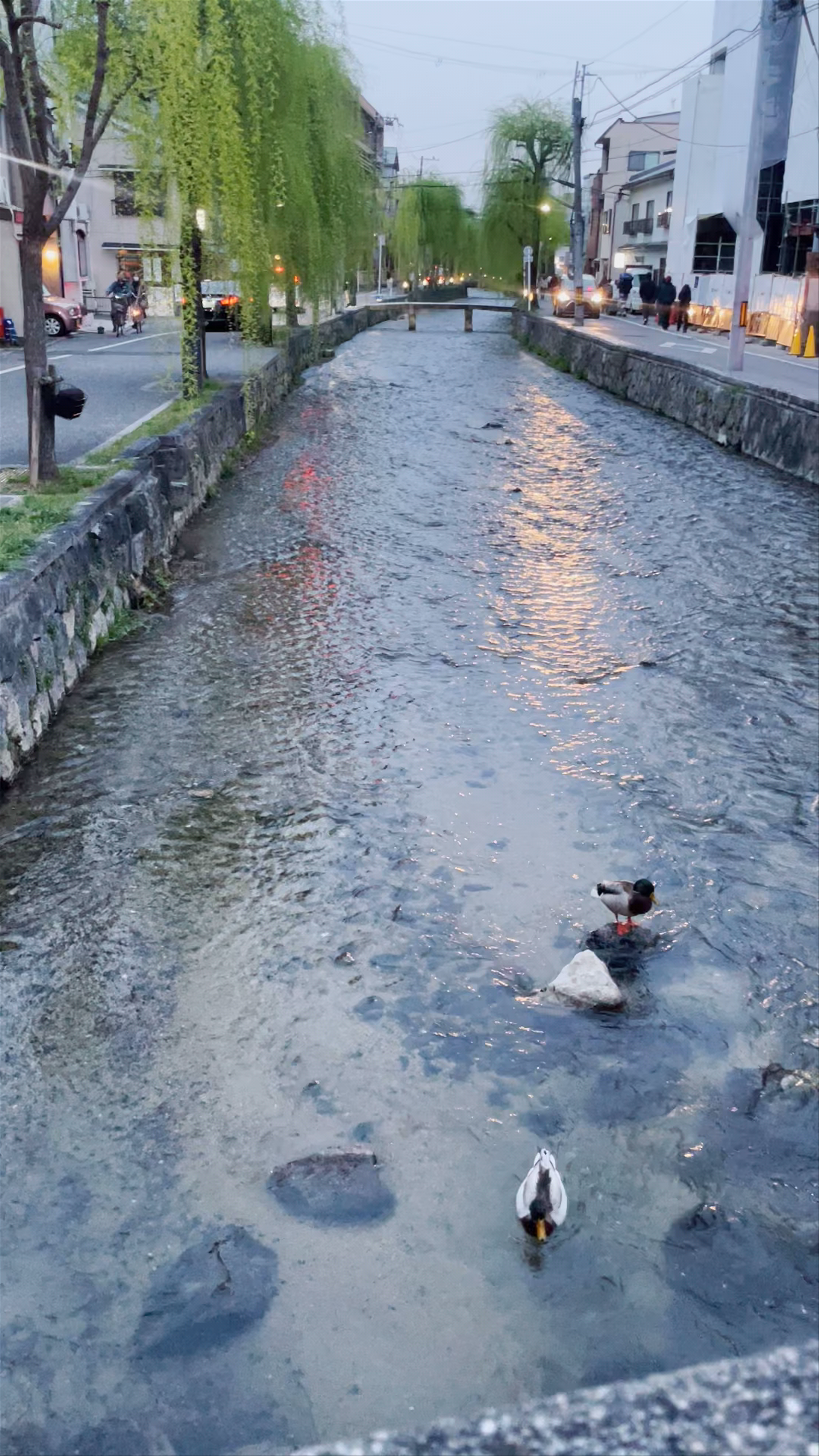 Shirakawa River