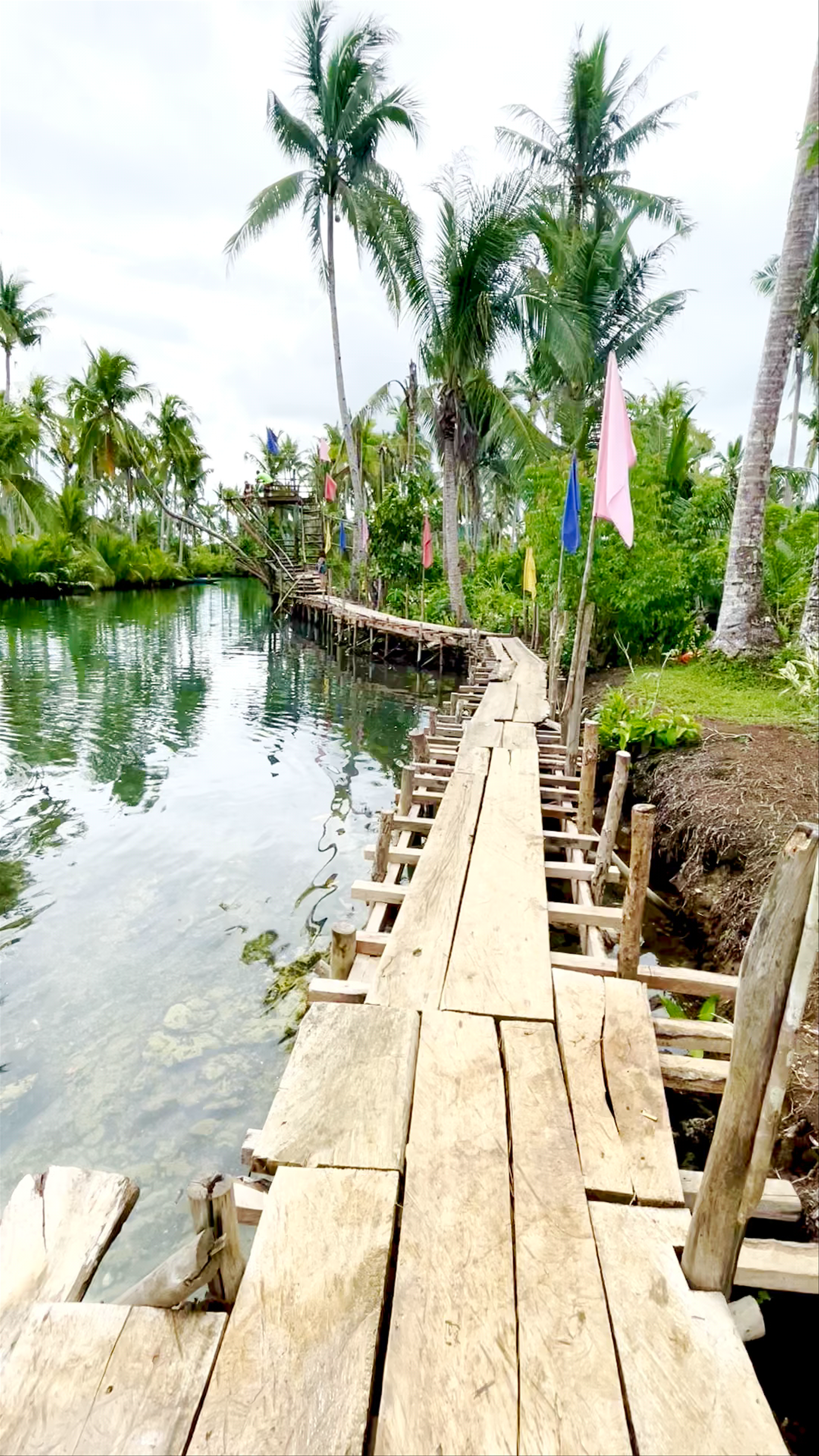 Maasin Bridge River Swing Adventure in Siargao, Philippines