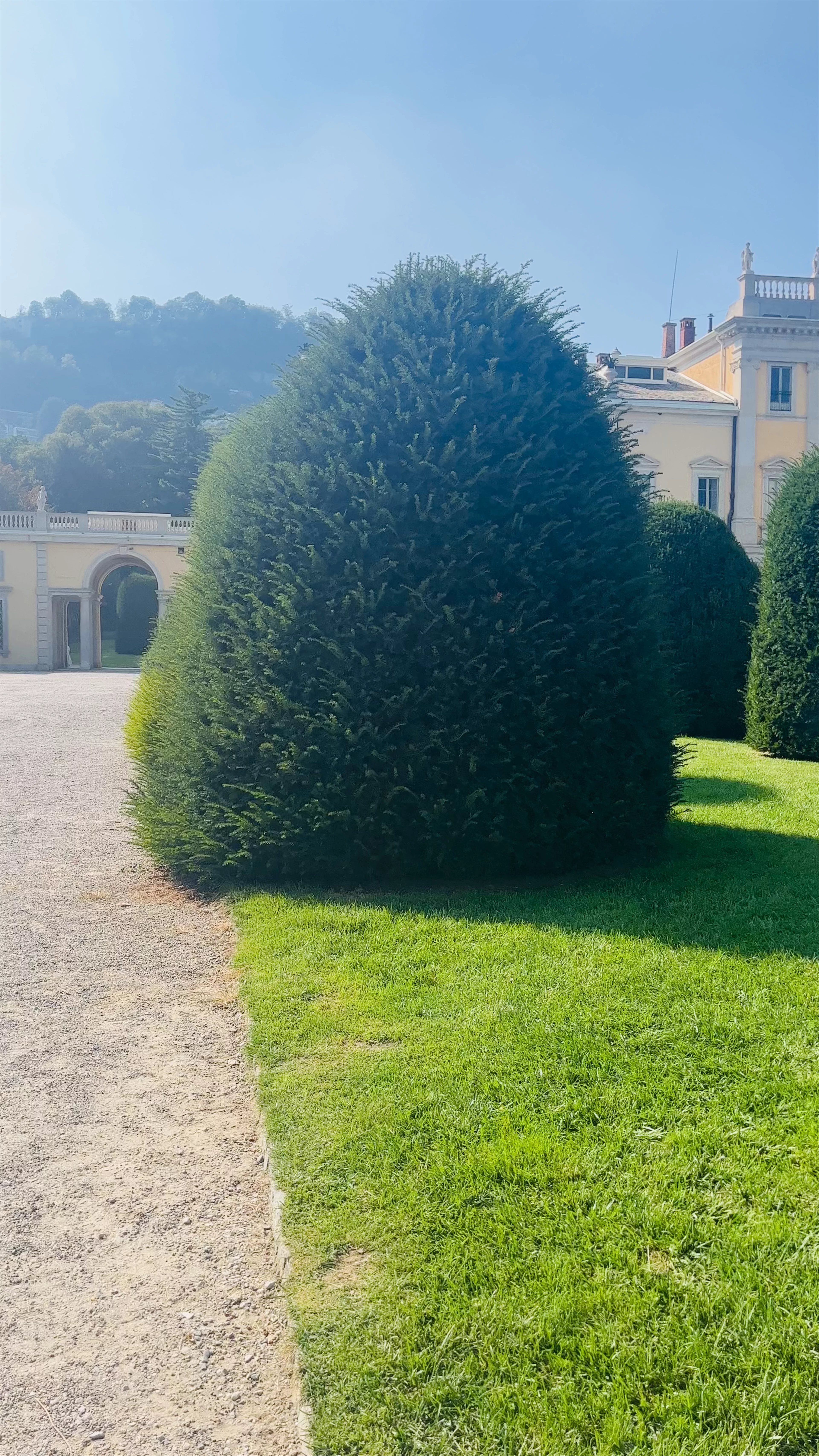 Villa Olmo
