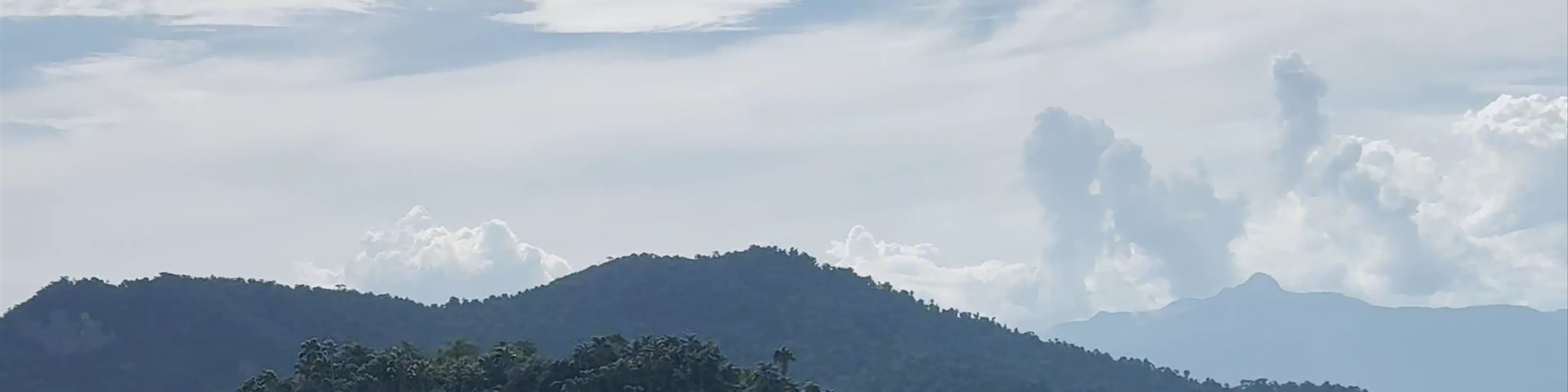 Ilha Grande