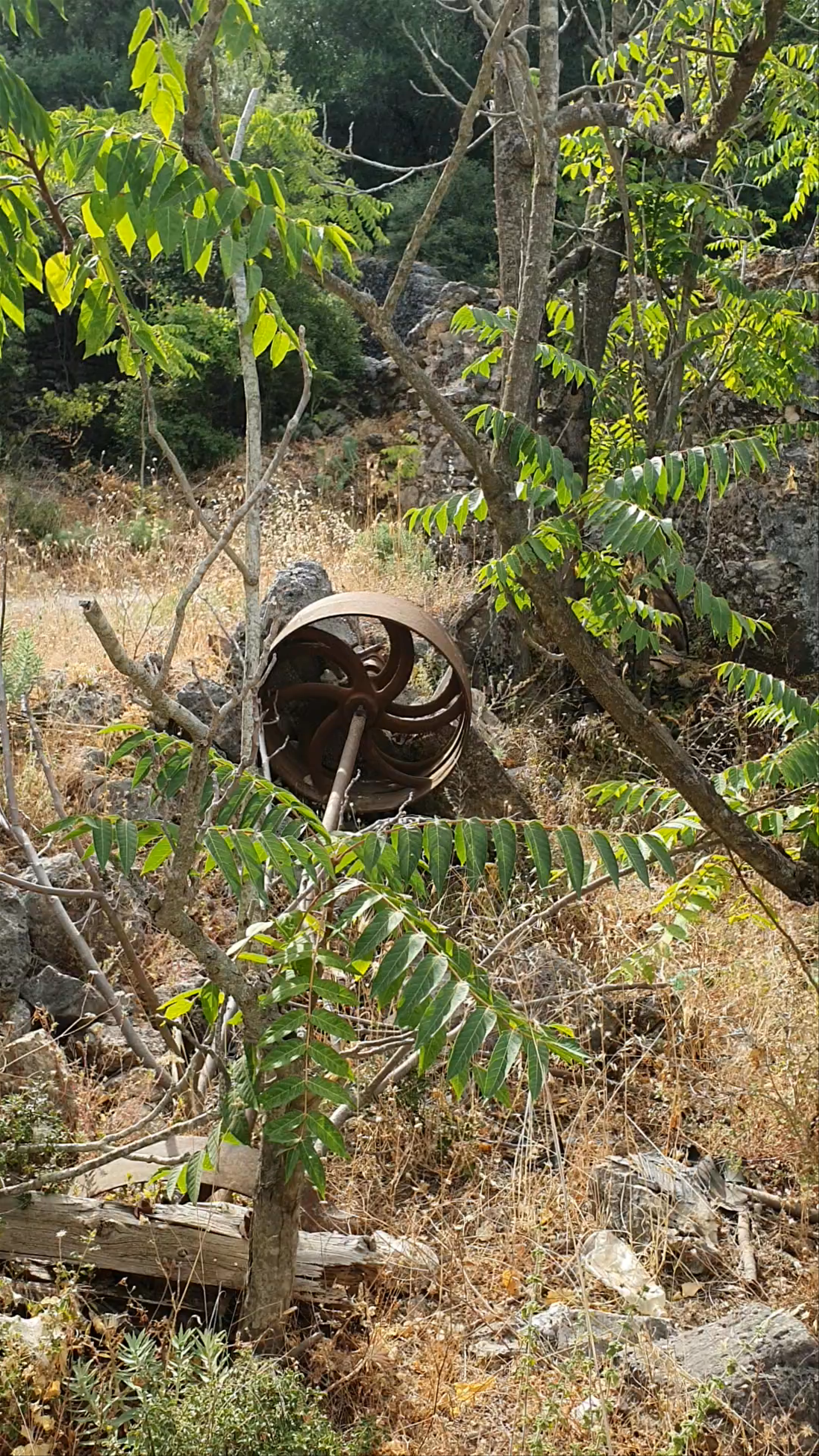 Old Valsamata: Forgotten Machinery Among Nature in Cephalonia, Greece