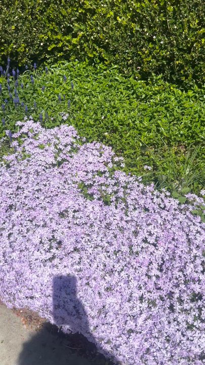 Goodale Park - Flowers - Parks Near Me - Columbus, Ohio