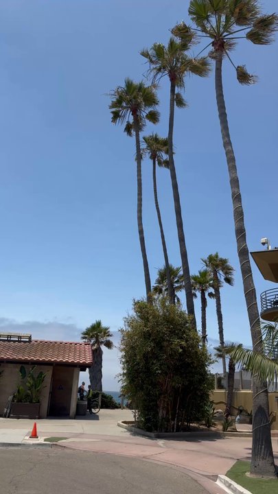 Pacific Terrace Hotel - Outside Pacific Terrace Hotel - San Diego, CA